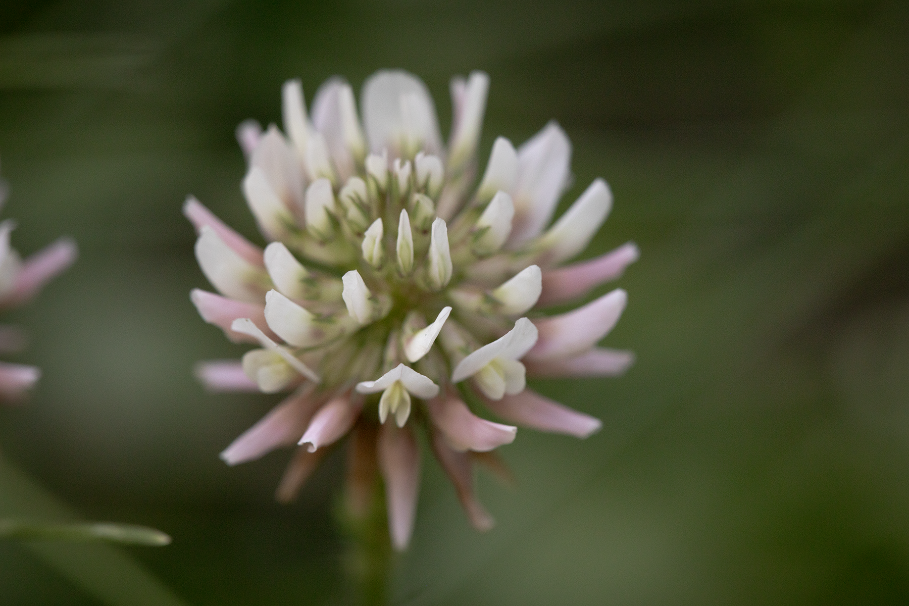 How Do I Know I'm Ready to Get Sober?