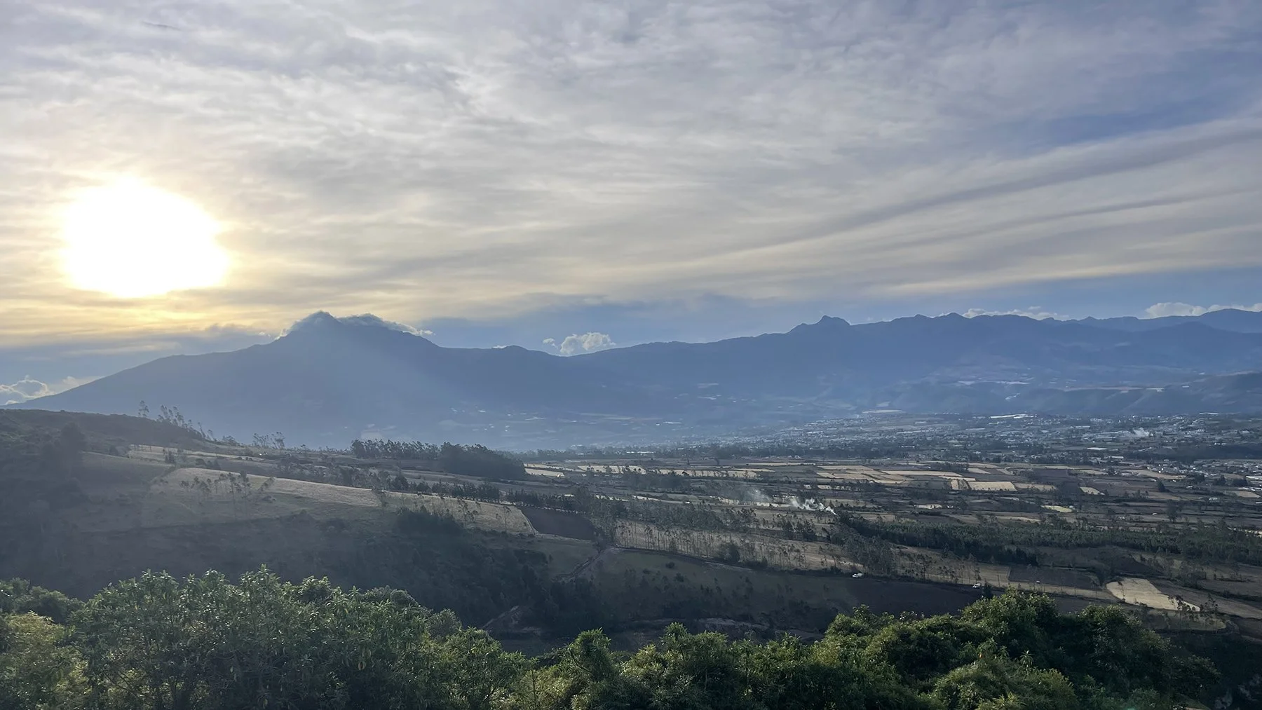 When Your Past Becomes Your Power: My Journey with Post-Traumatic Growth