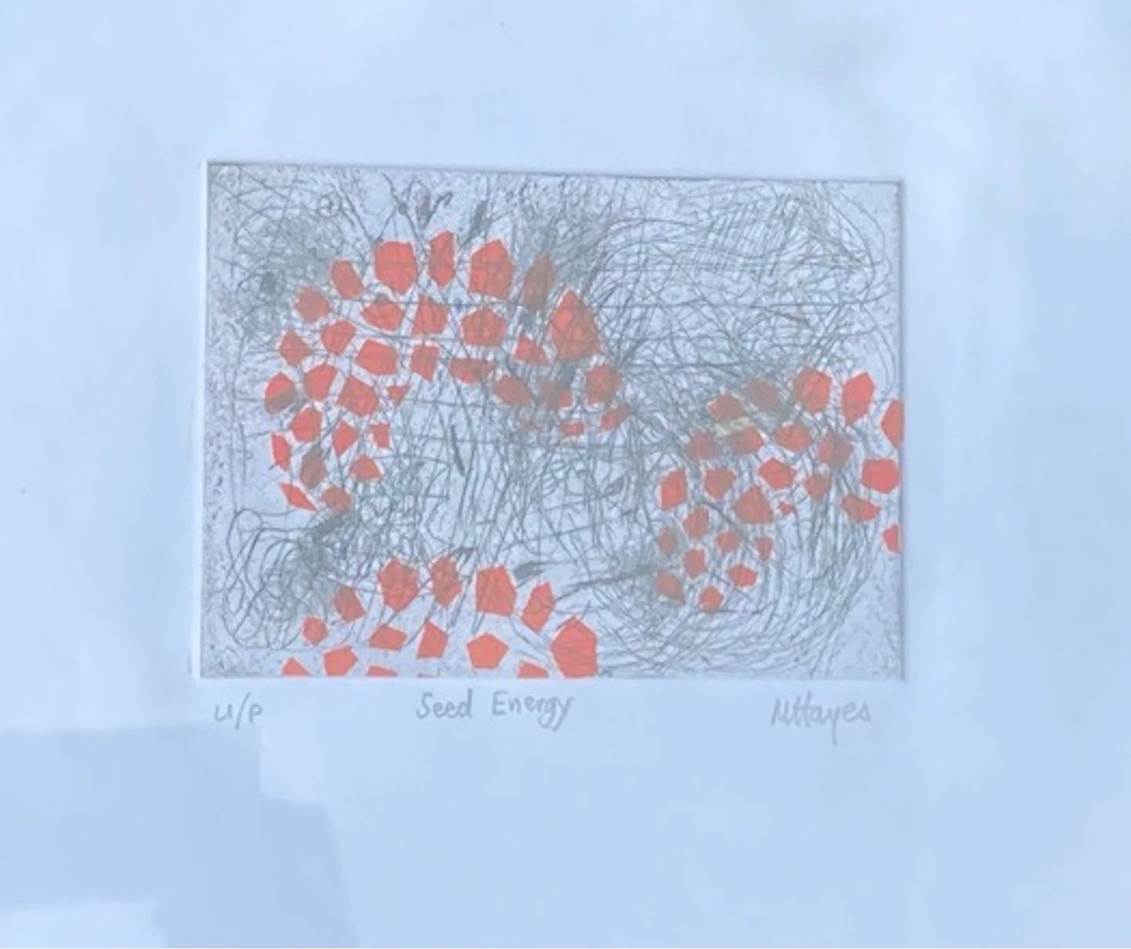 Seeds 2.jpg