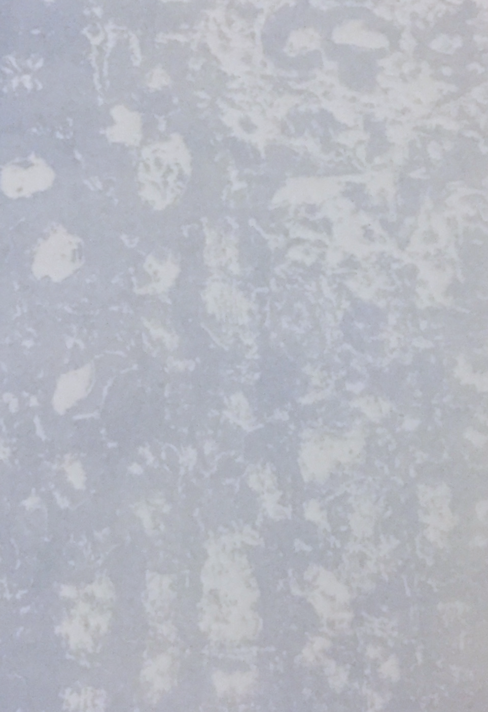 ice coldsolar plate.jpg