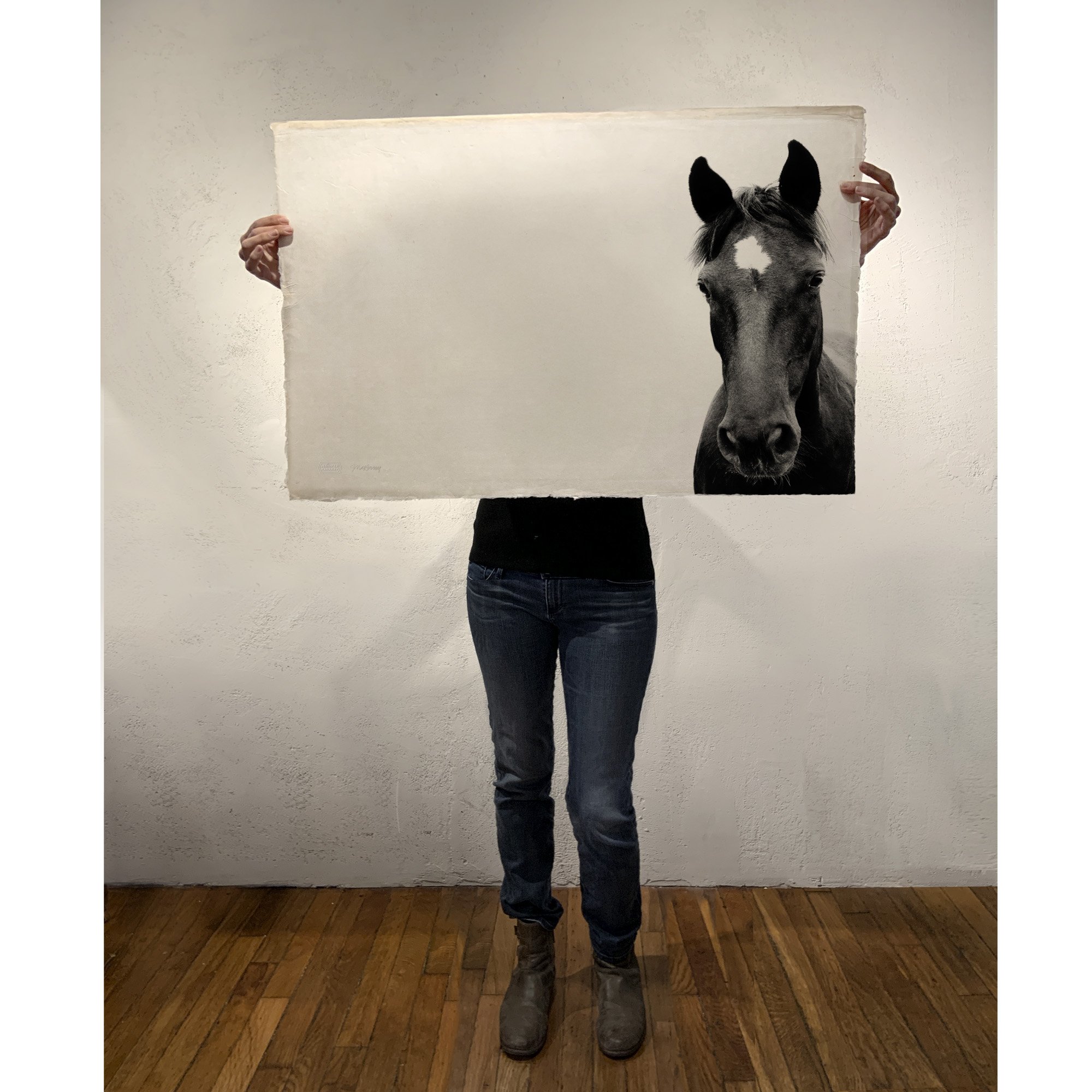 CURIOUS HOLDING PRINT 2000x2000px.jpg