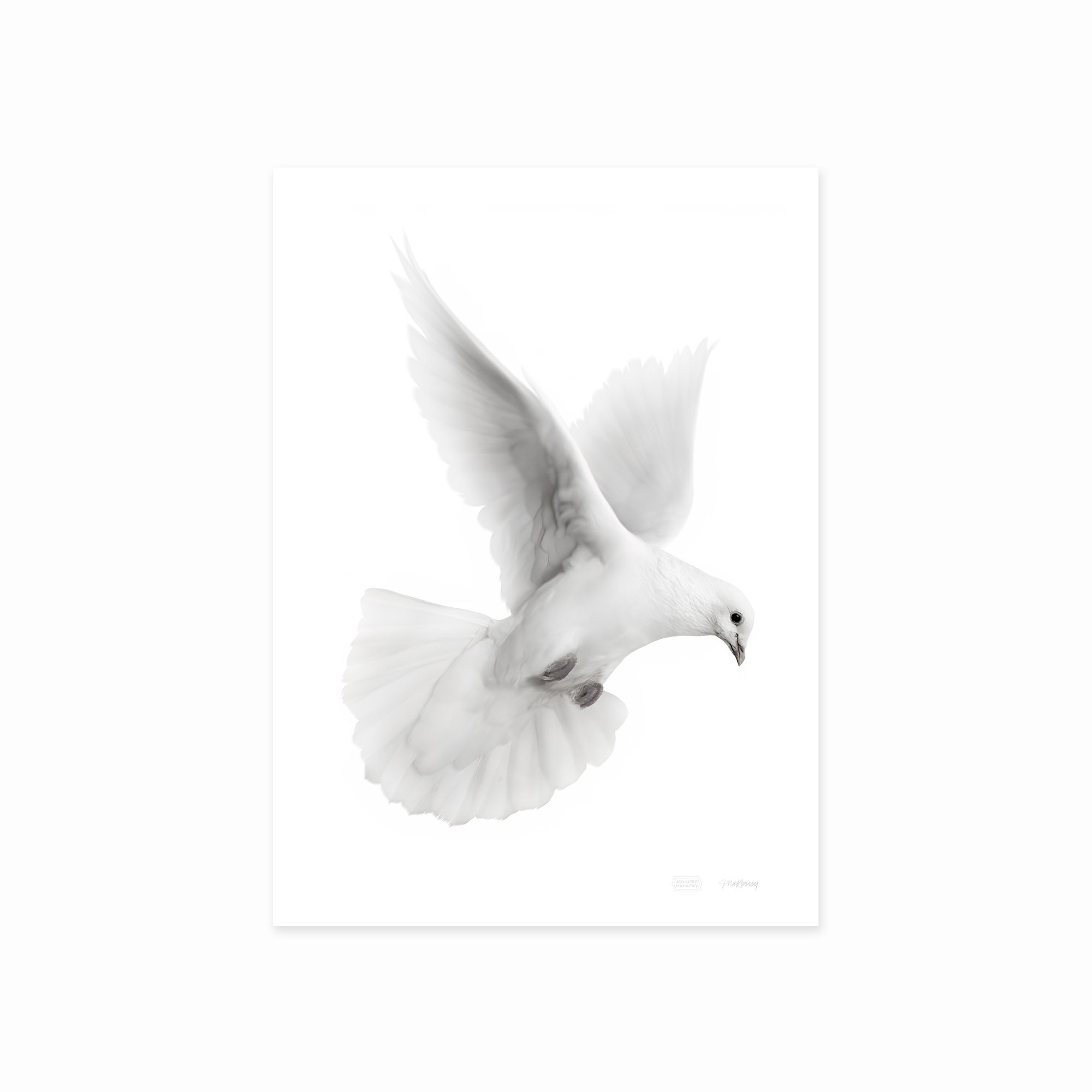 DOVE FACING RIGHT PRINT 2000x2000px copy.jpg