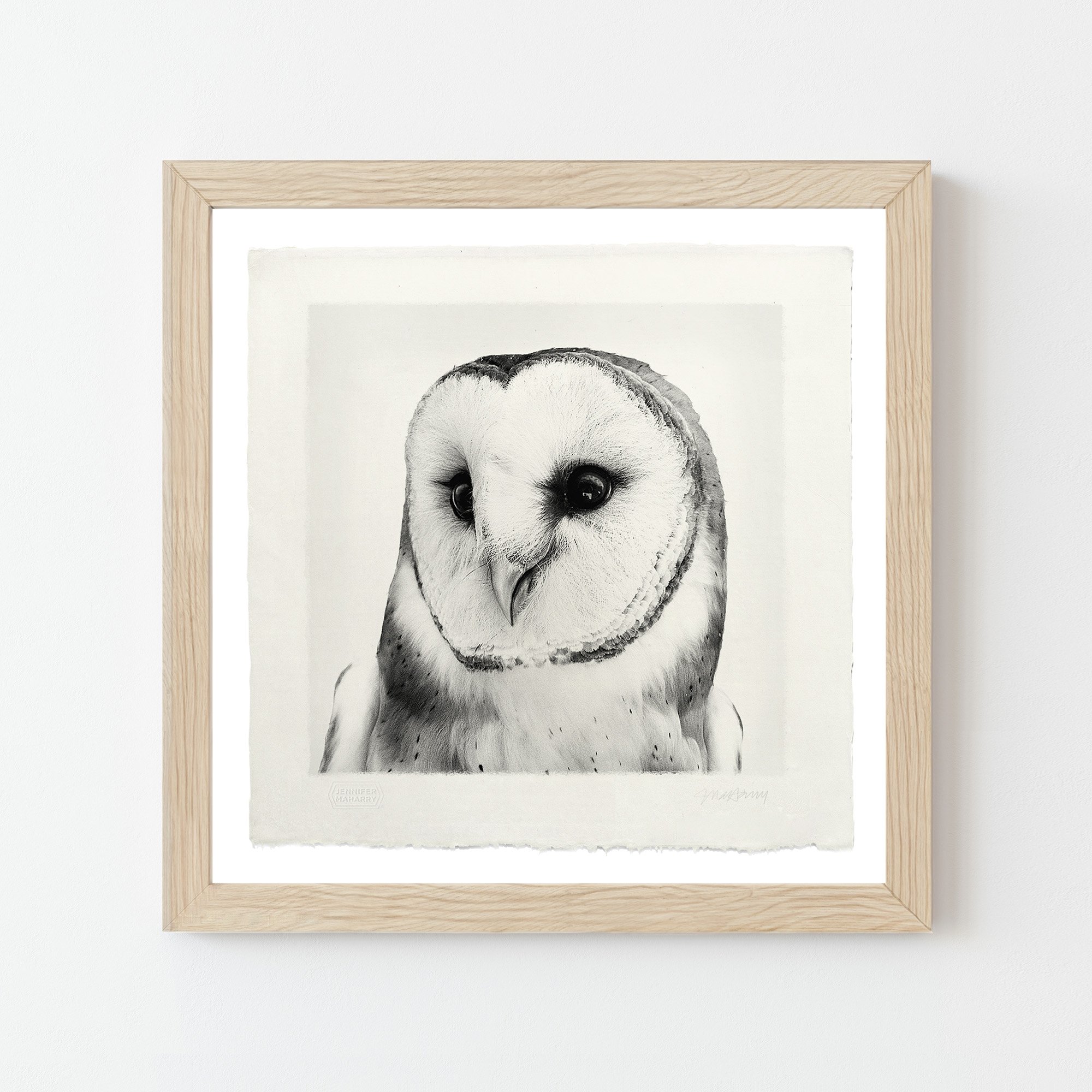 BARN OWL NATURAL FRAMED 12x12 OWL 2000x2000px.jpg