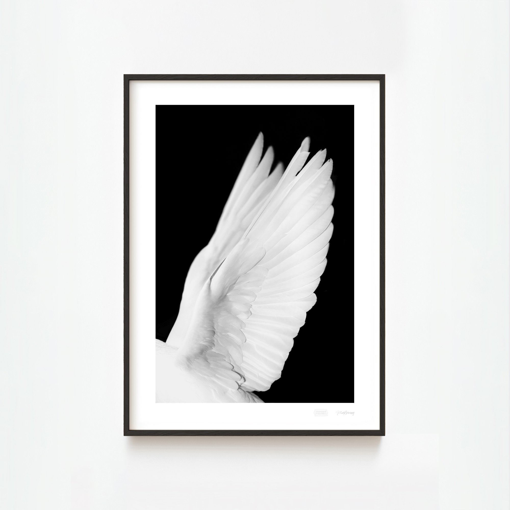 DOVE WINGS FACING LEFT BLACK_FRAMED_2000x2000px.jpg