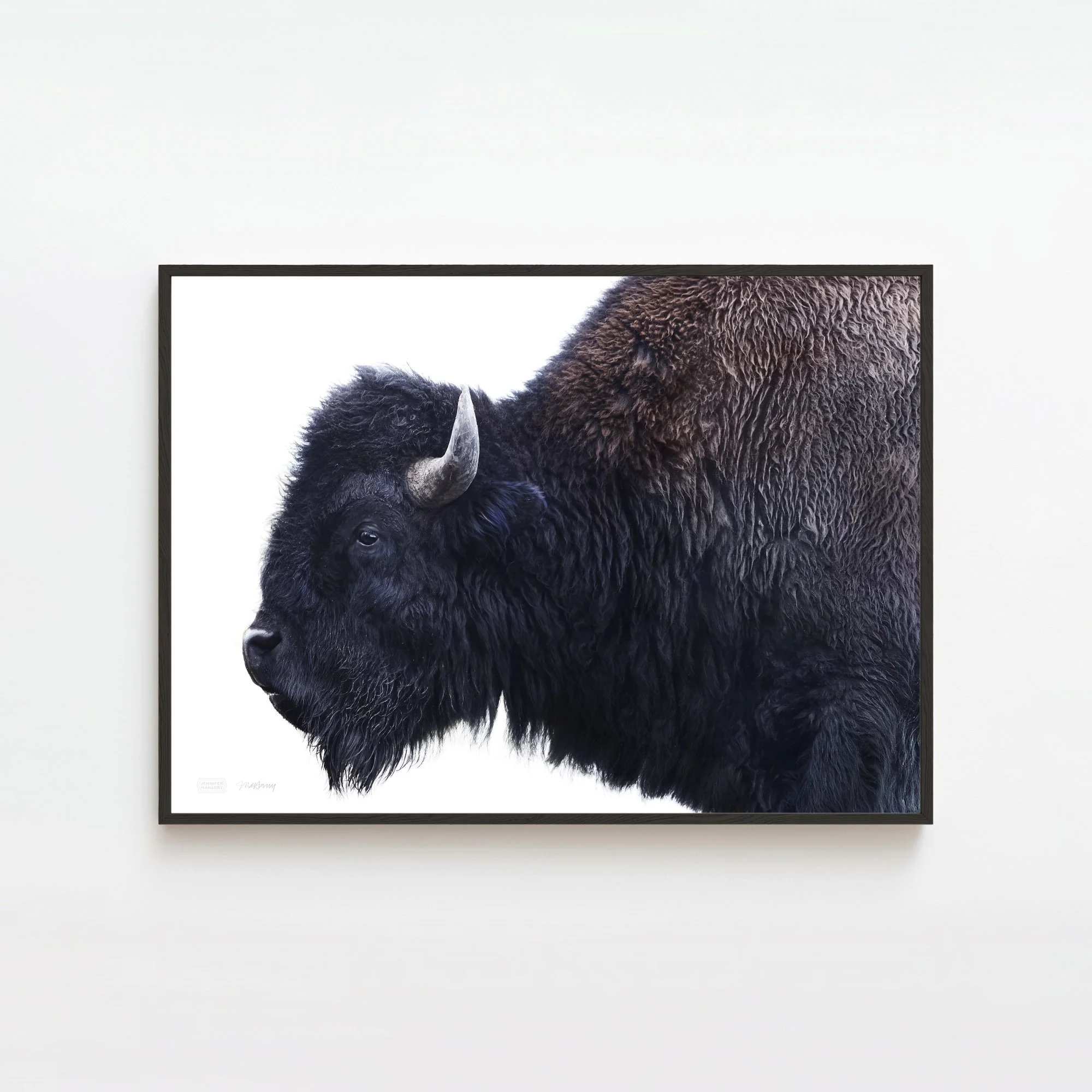 AMERICAN BISON BLACK FRAME 2000x2000px.jpg