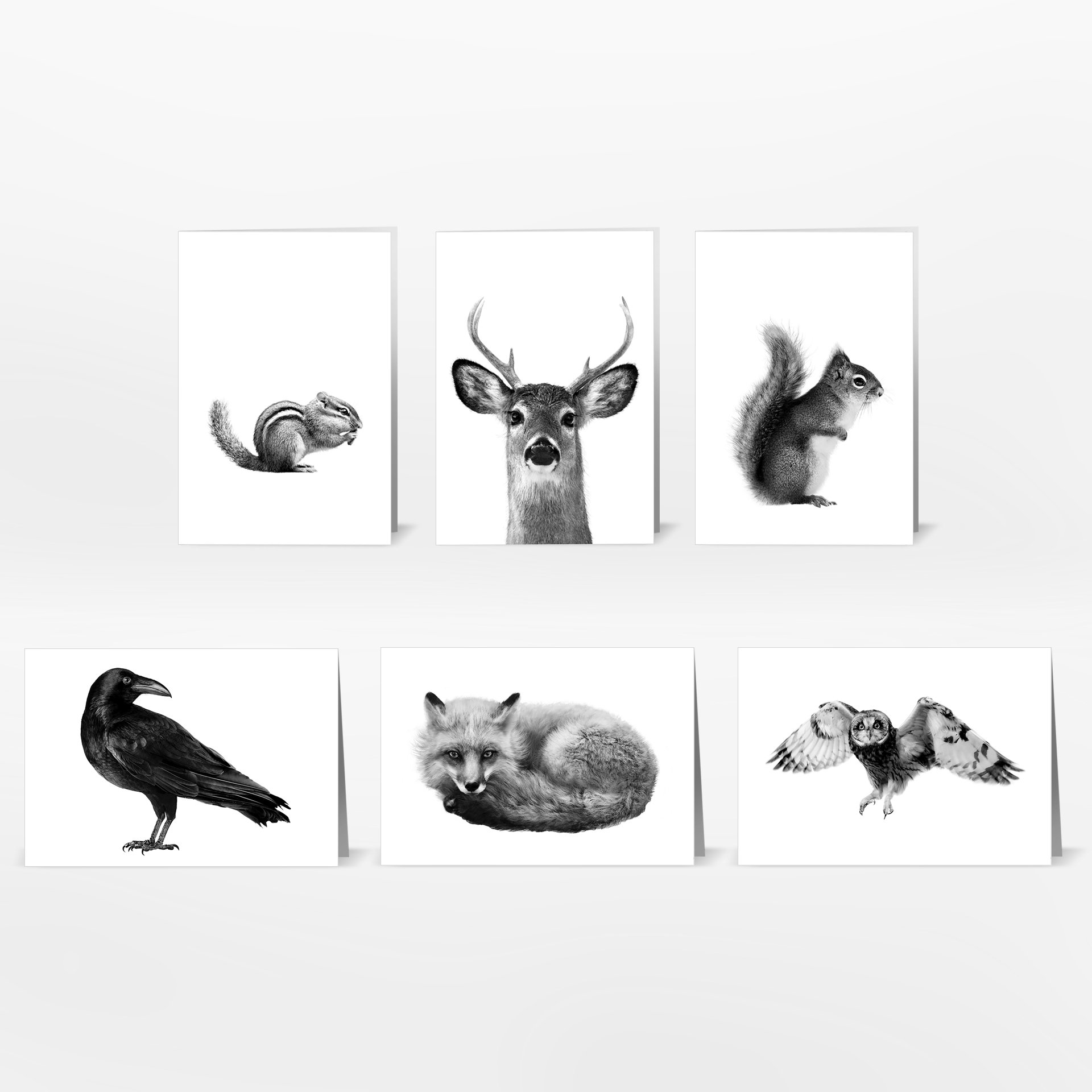 FOREST FRIENDS CARD SET SINGLES.jpg
