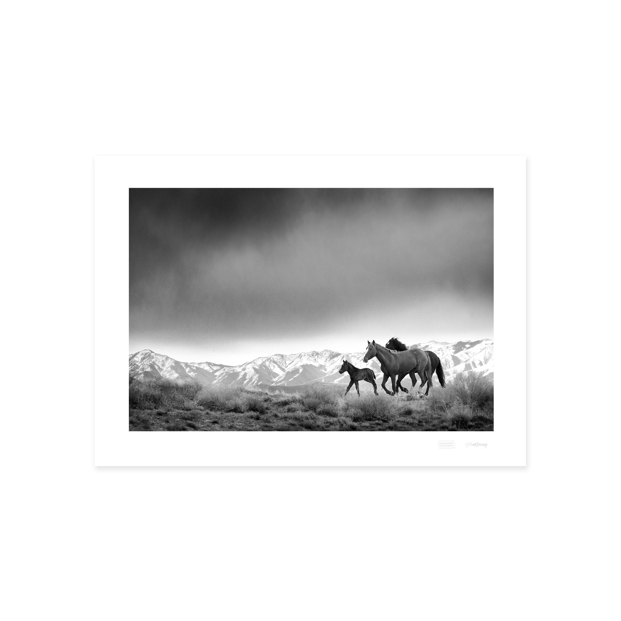 TRIO PRINT 2000x2000px.jpg