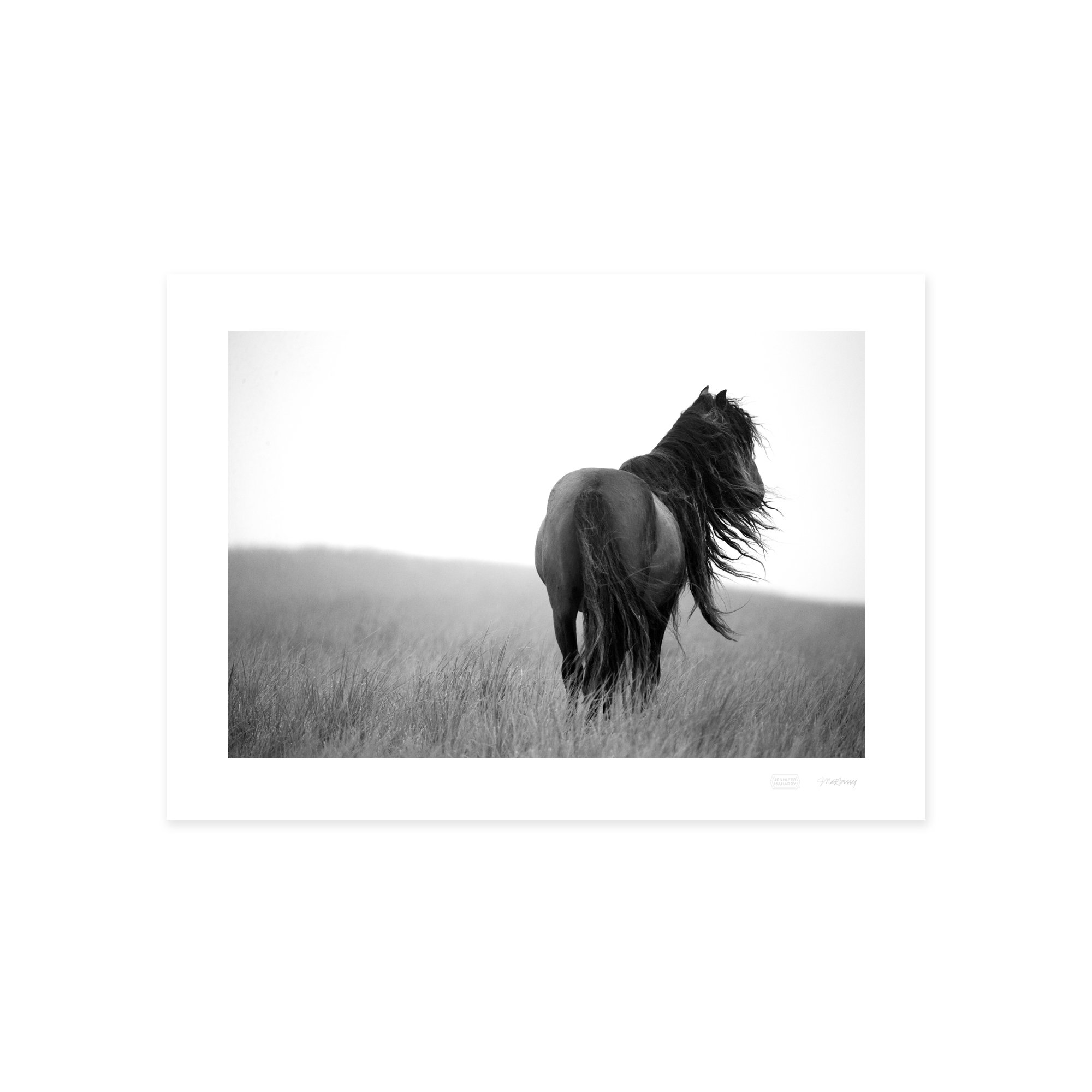 SUMMER DREAM PRINT 2000x2000px copy.jpg