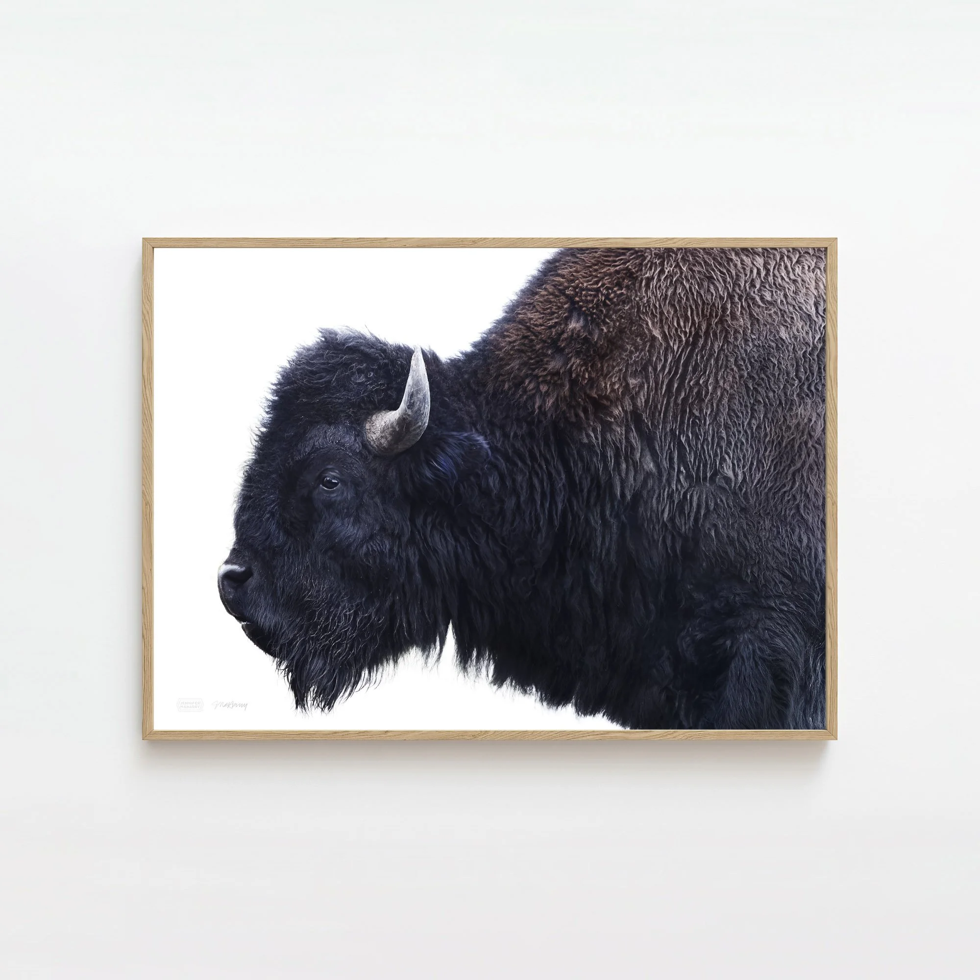 AMERICAN BISON NATURAL FRAME 2000x2000px.jpg