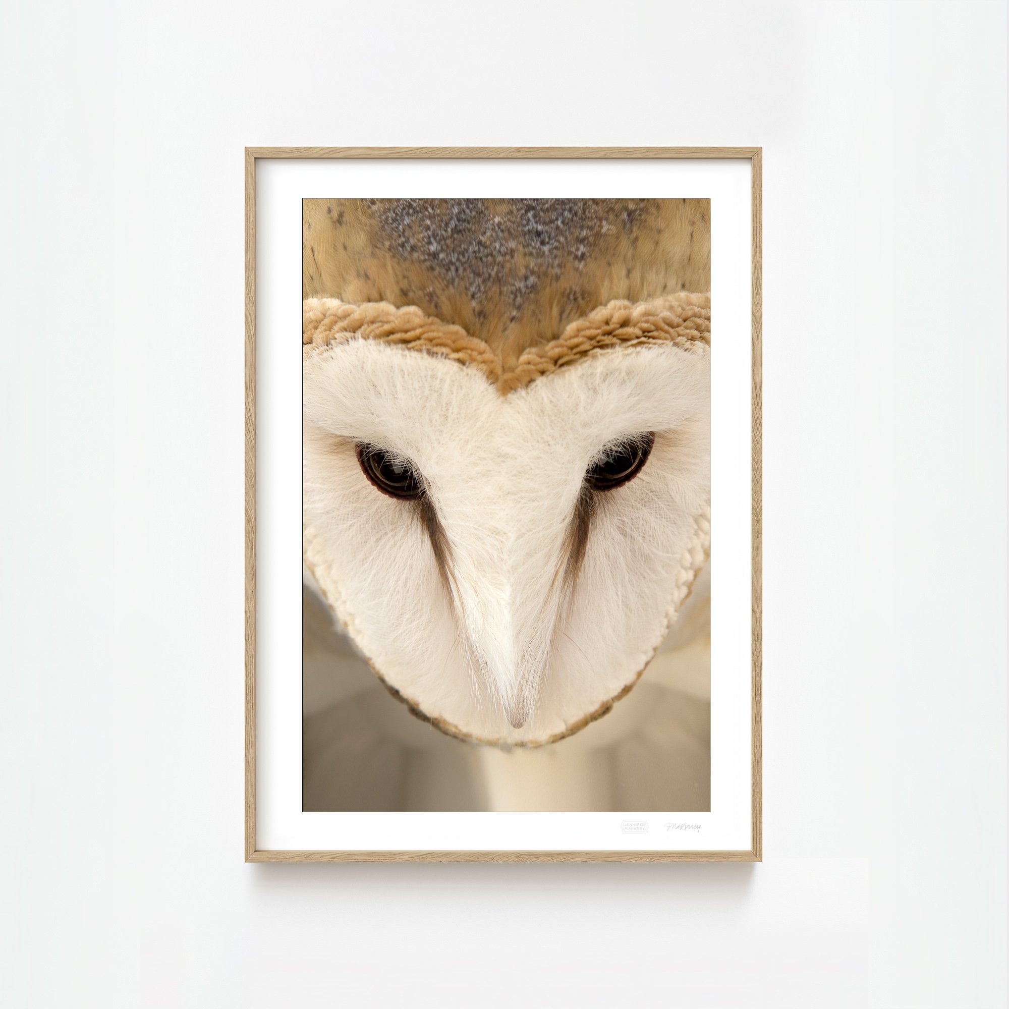 BARN OWL FACE NATURAL FRAME 2000x2000px.jpg