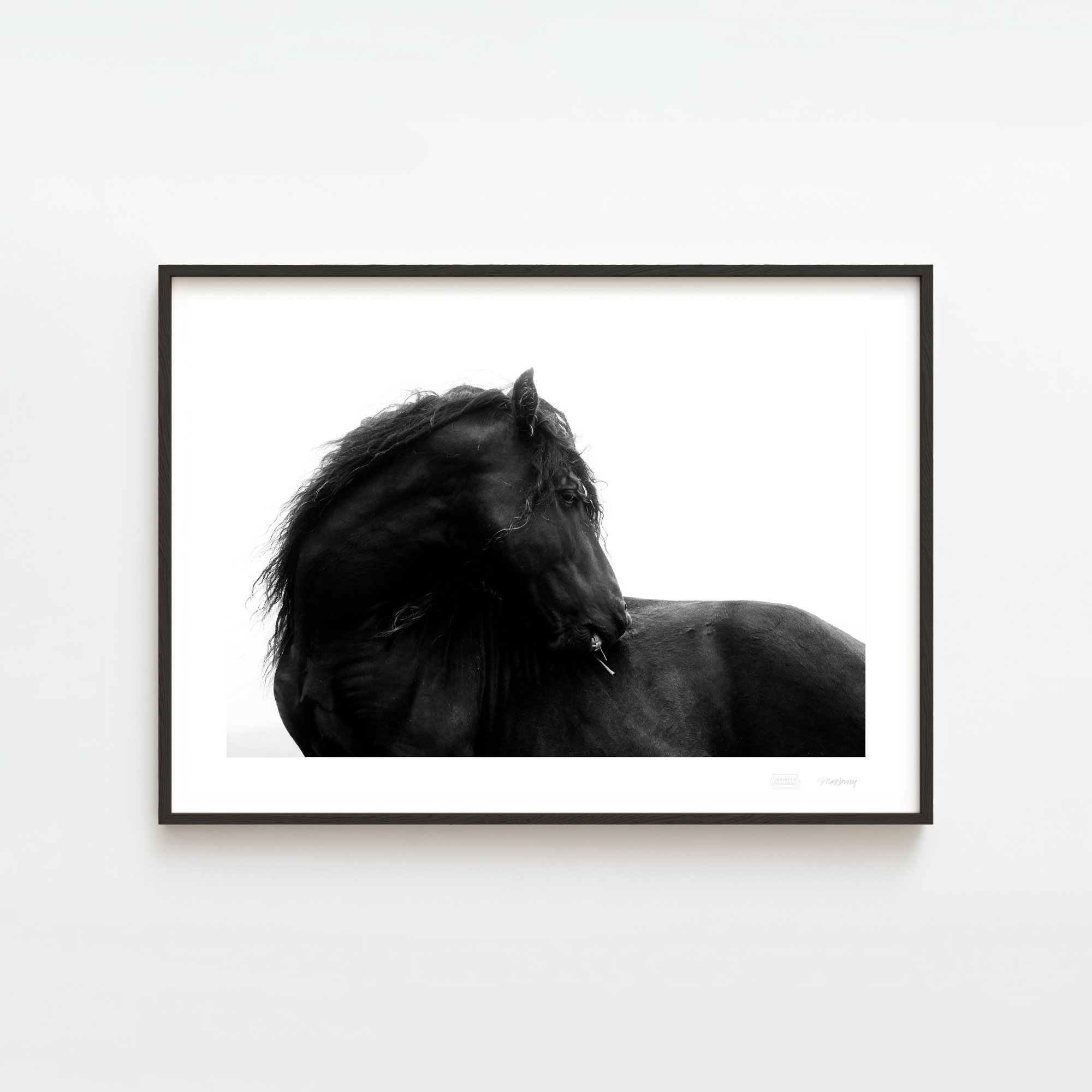 STALLION PROFILE BLACK FRAME 2000x2000px.jpg