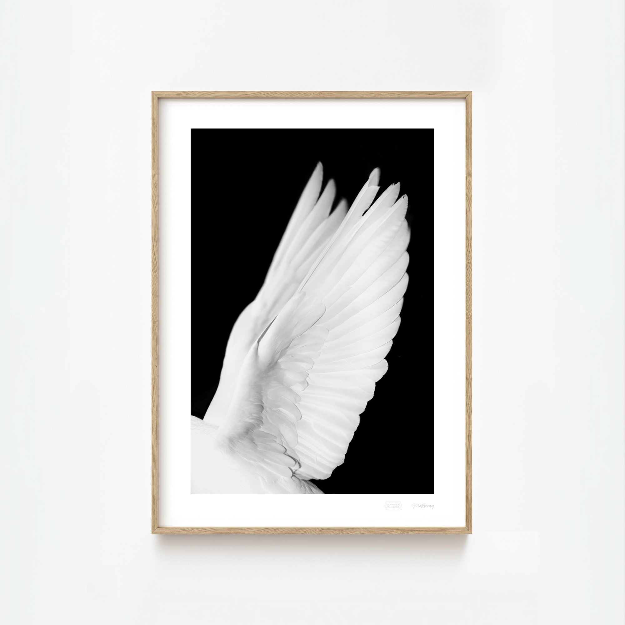 Dove Wings Facing Left
