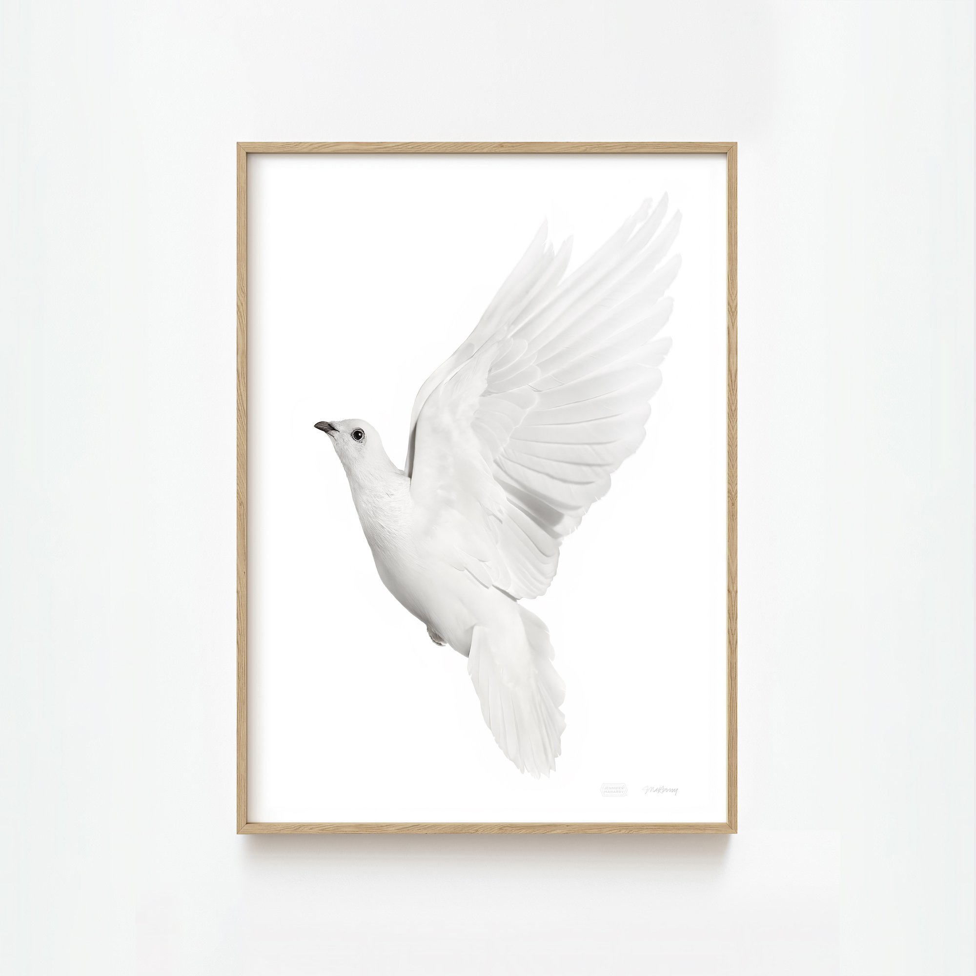 DOVE FACING LEFT NATURAL FRAME 2000x2000px copy.jpg