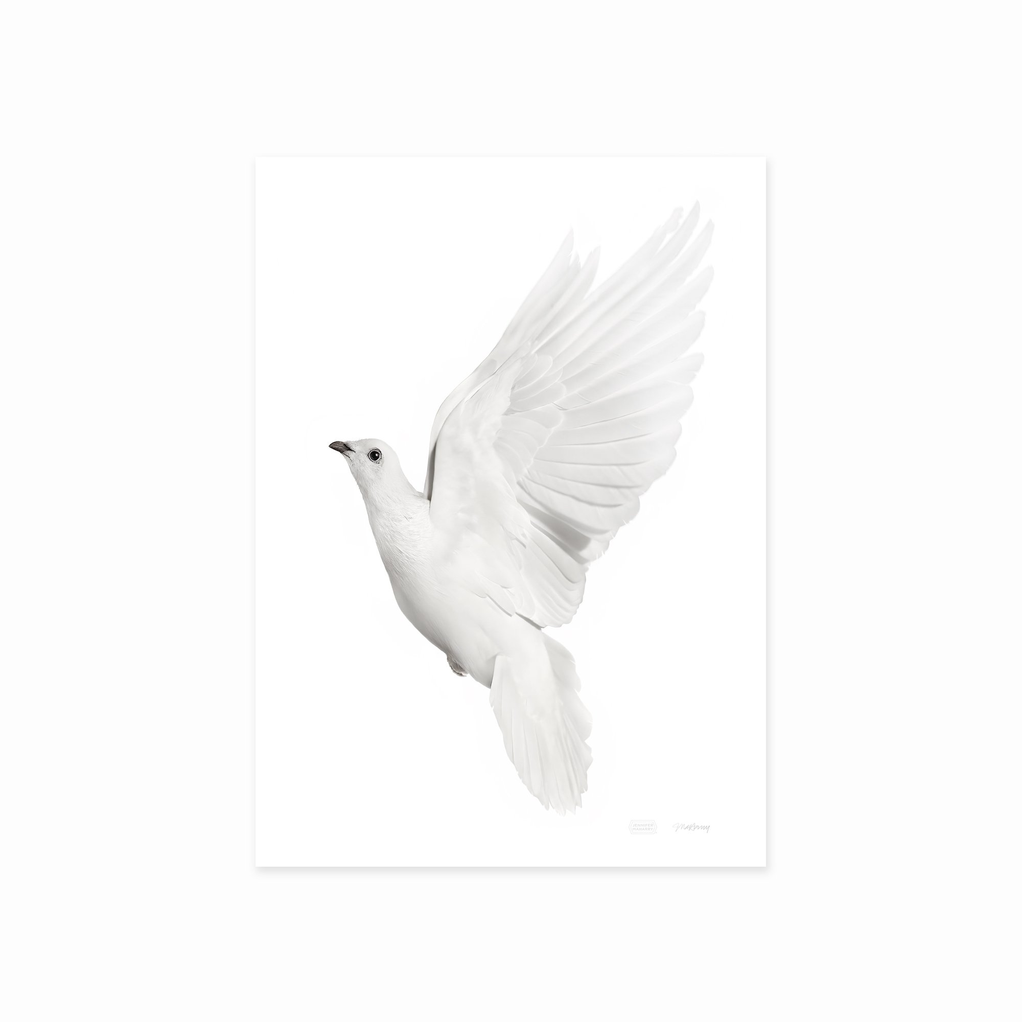 DOVE FACING LEFT PRINT 2000x2000px copy.jpg