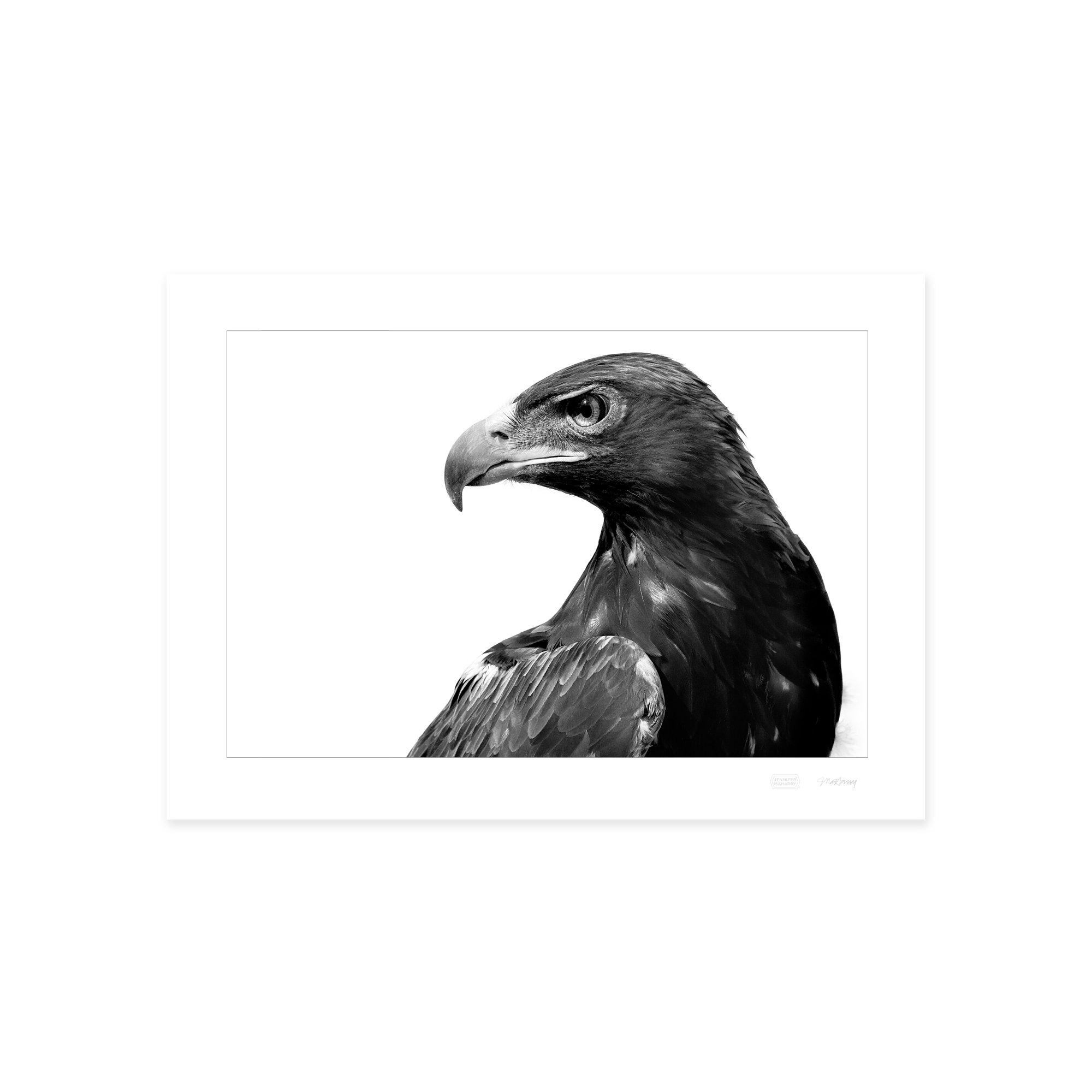 GOLDEN EAGLE PRINT 2000x2000px.jpg