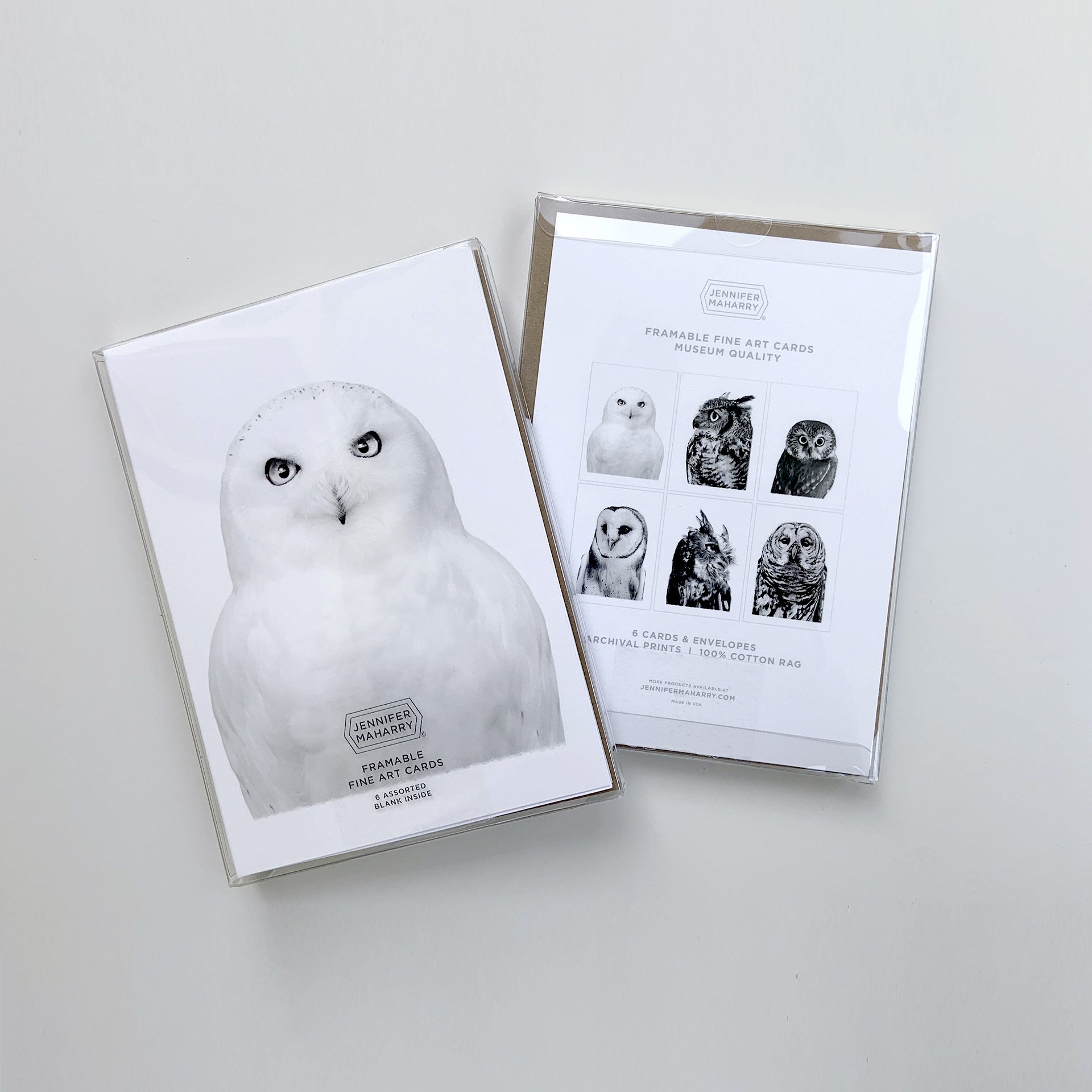 Set of 6 Owl Greeting Cards