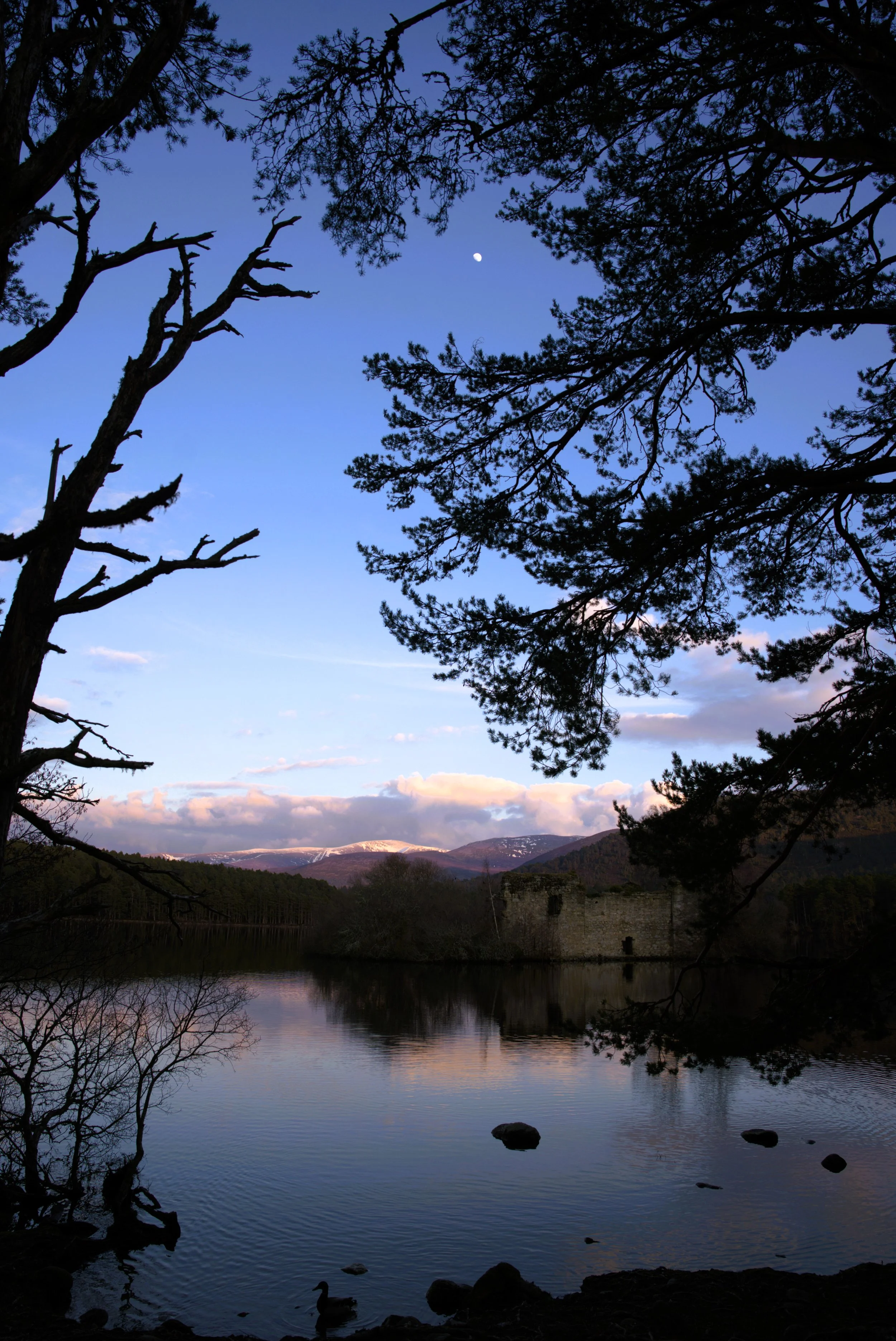 A tranquil lake scene during dusk with reflections of trees and mountains in the water, dark silhouettes of trees framing the sky, a visible moon, and snow-capped mountains in the background.