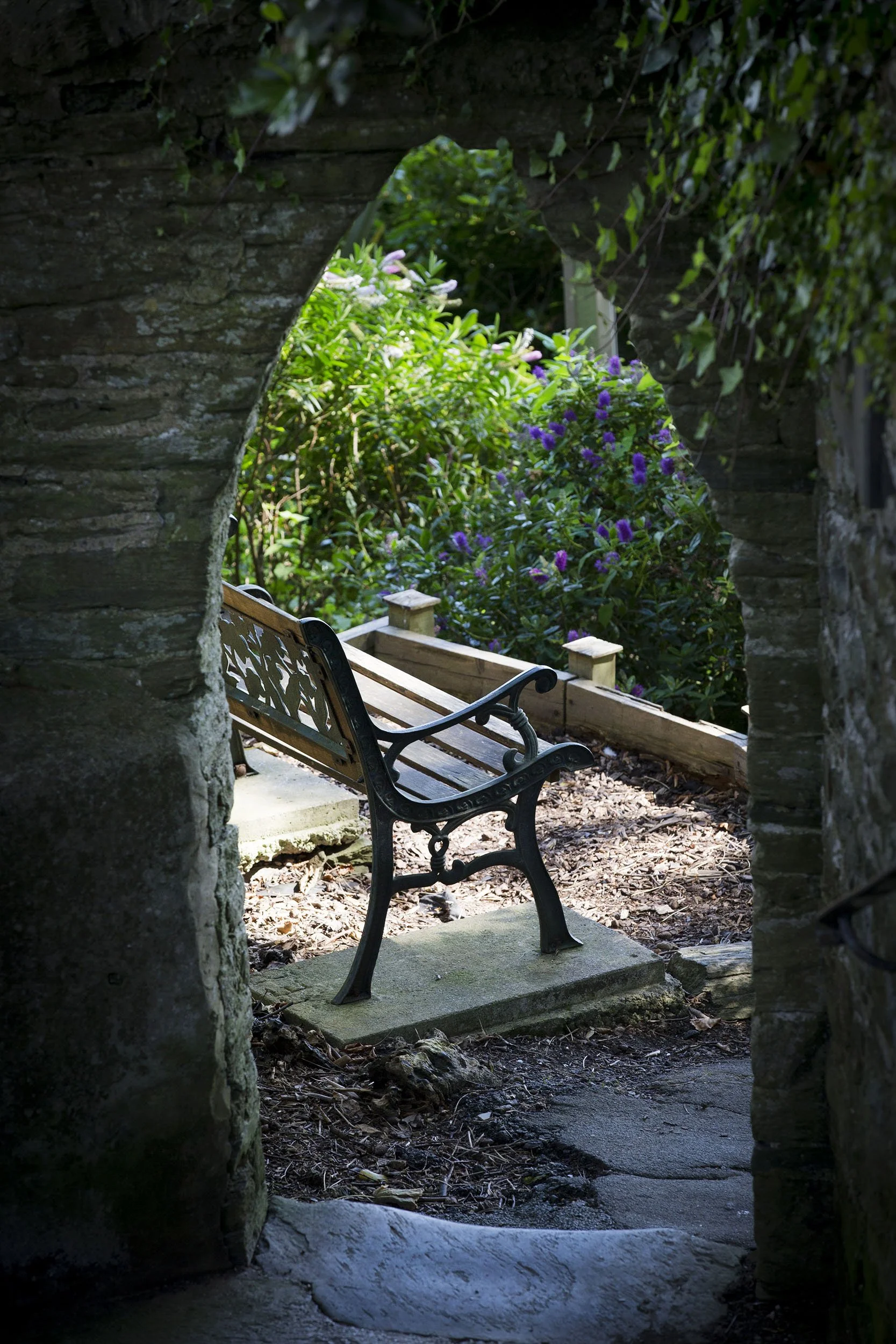 A garden seen through an arched stone opening, featuring a decorative wooden and metal bench in the foreground, surrounded by flowering bushes with purple and pink blossoms, and a wooden border along the garden bed.
