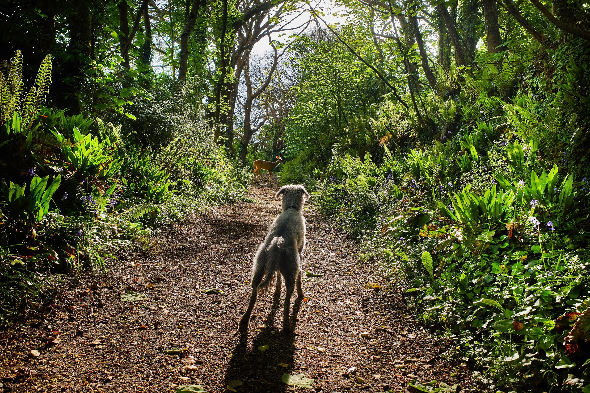 Charlie Ward Photo Walk Devon