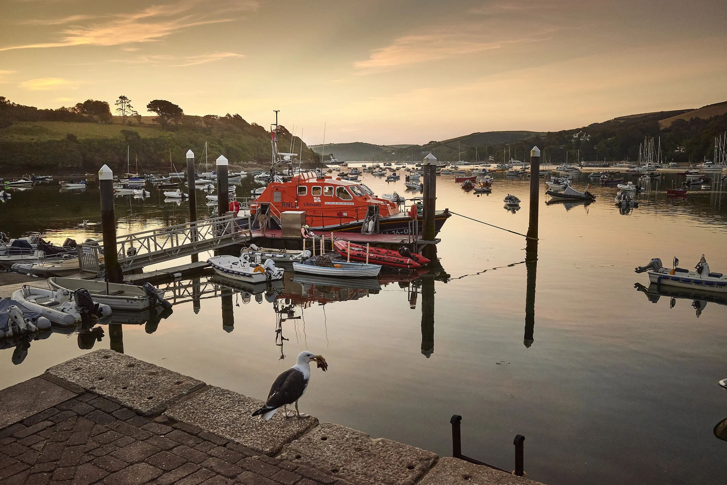 A harbor at sunset with boats docked and a seagull standing on the stone edge in the foreground.