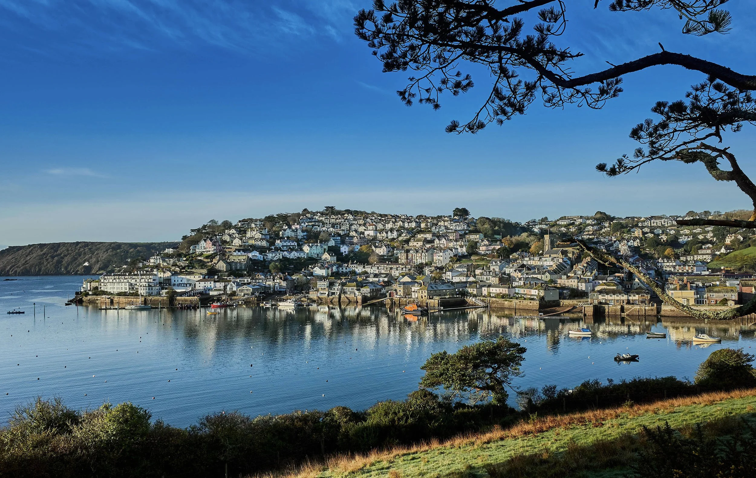A coastal town with numerous houses on a hillside overlooking a calm harbor with boats, framed by tree branches and bushes in the foreground under a blue sky.