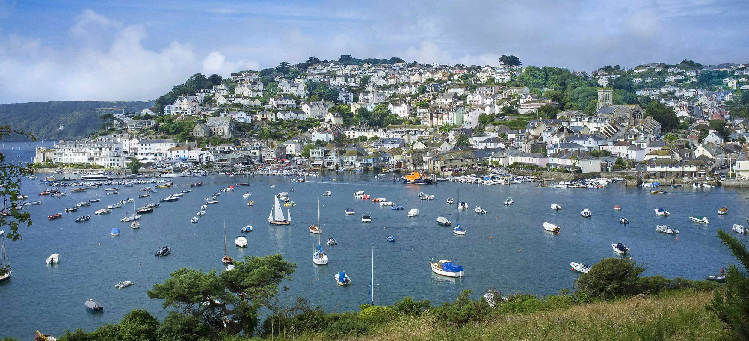 A scenic view of a coastal town with numerous boats anchored in the harbor, surrounded by hillside houses and greenery.