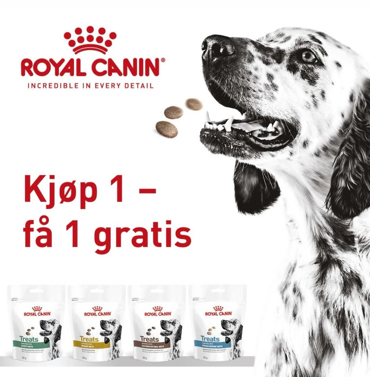 🎉Akkurat n&aring; har vi 2 for 1 p&aring; godbiter fra Royal Canin!🎉

@royalcaninnorway 

#dog #dogs #dogtreats #royalcanın