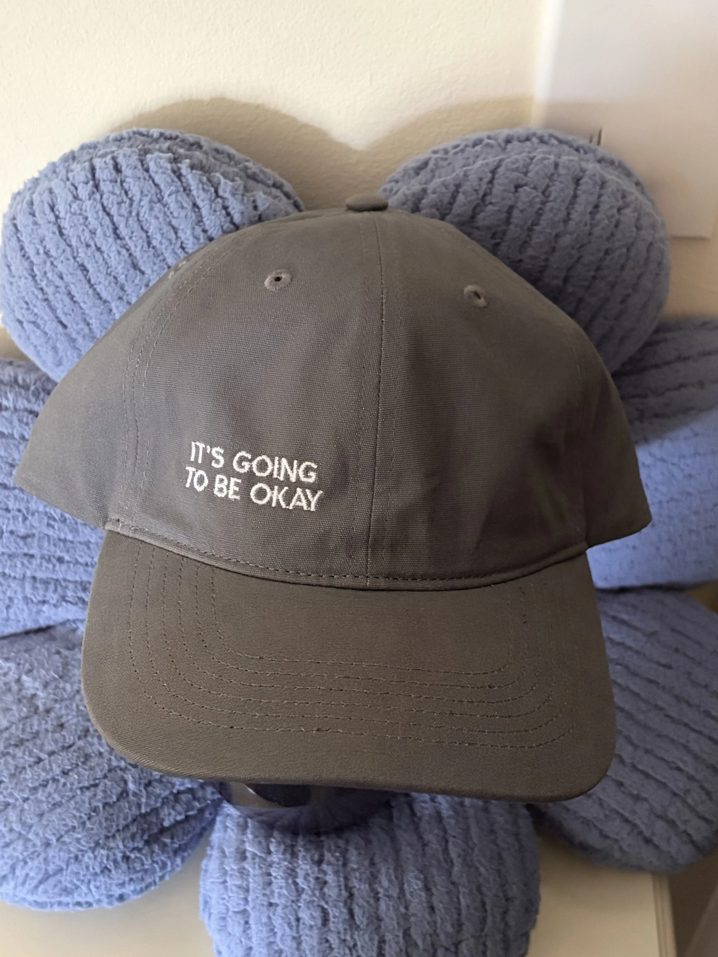 IGTBO Grey Hat Dana Bee logo front.jpeg