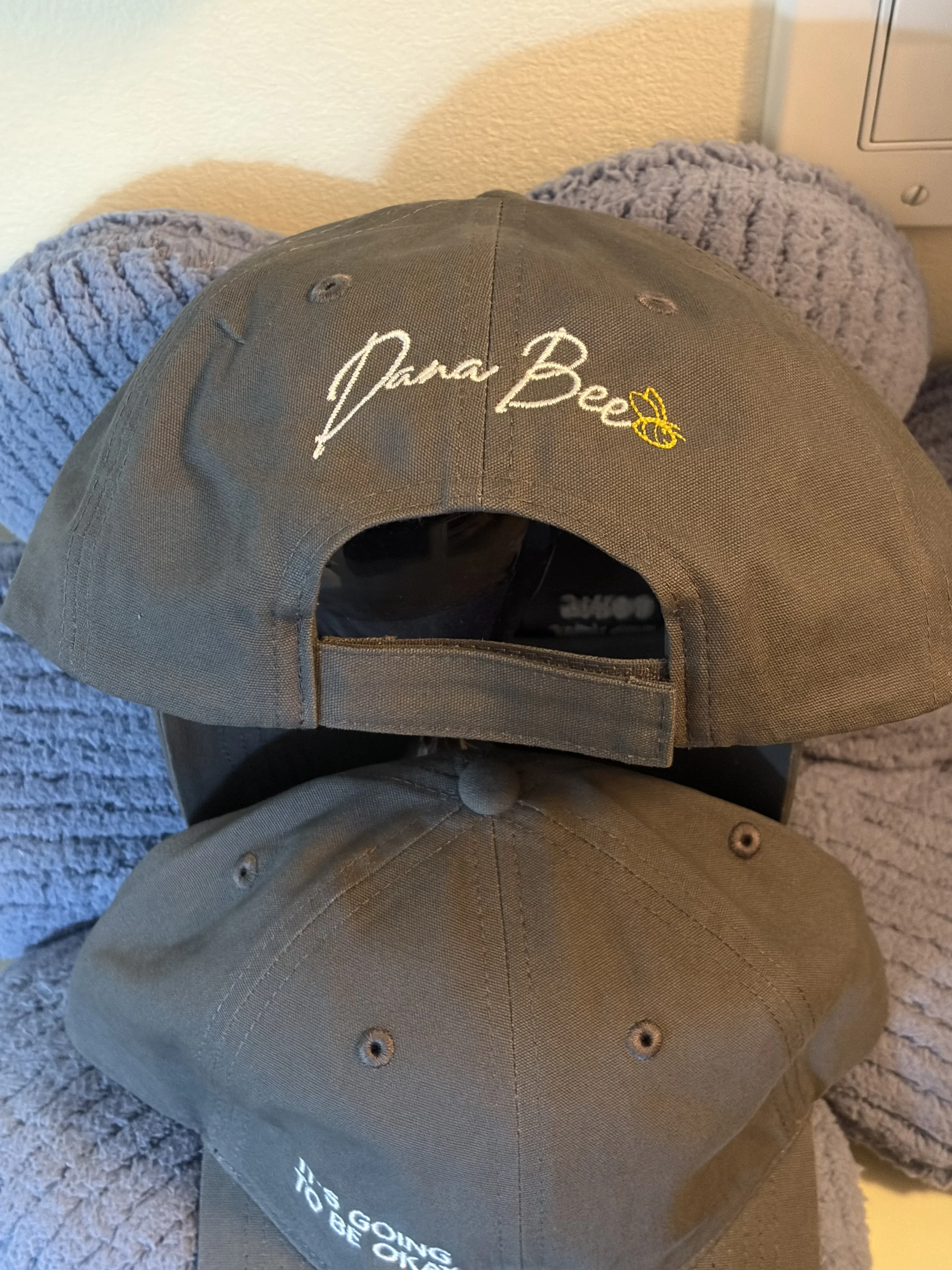IGTBO Grey Hat Dana Bee logo back.jpeg