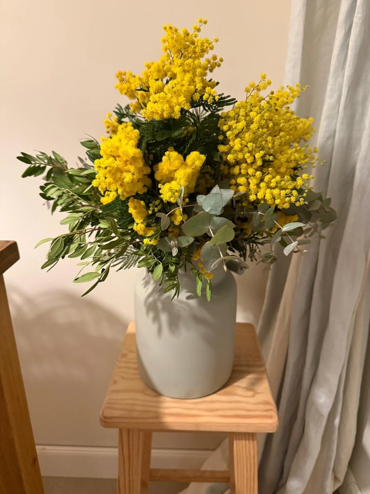 Ramo Mimosa Mimosa & Co