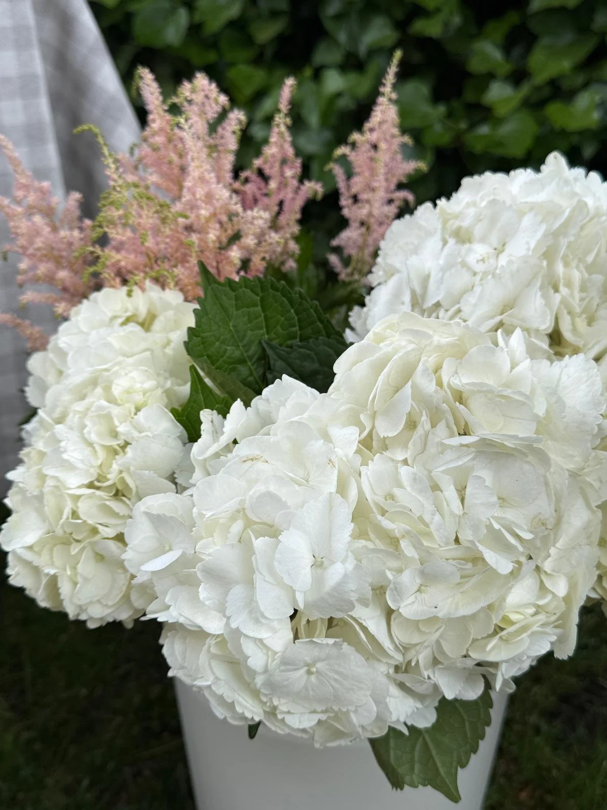 A bouquet of white hydrangea flowers with dark green leaves, pink astilbe flowers, and green foliage in a white vase.