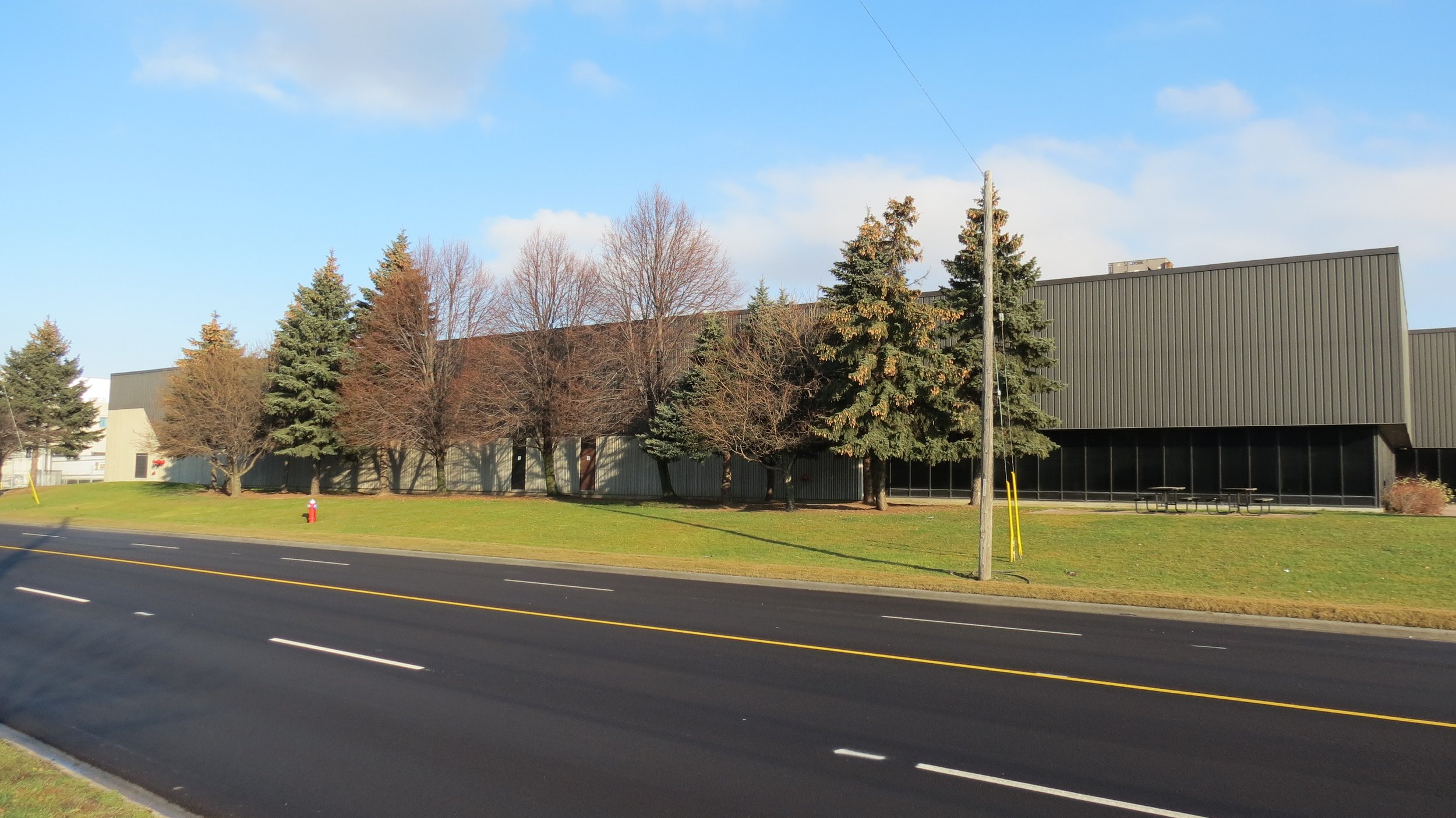A building with a metal exterior partially visible behind a row of trees along a road with yellow lane markings, a utility pole, and a grassy area with a fire hydrant.