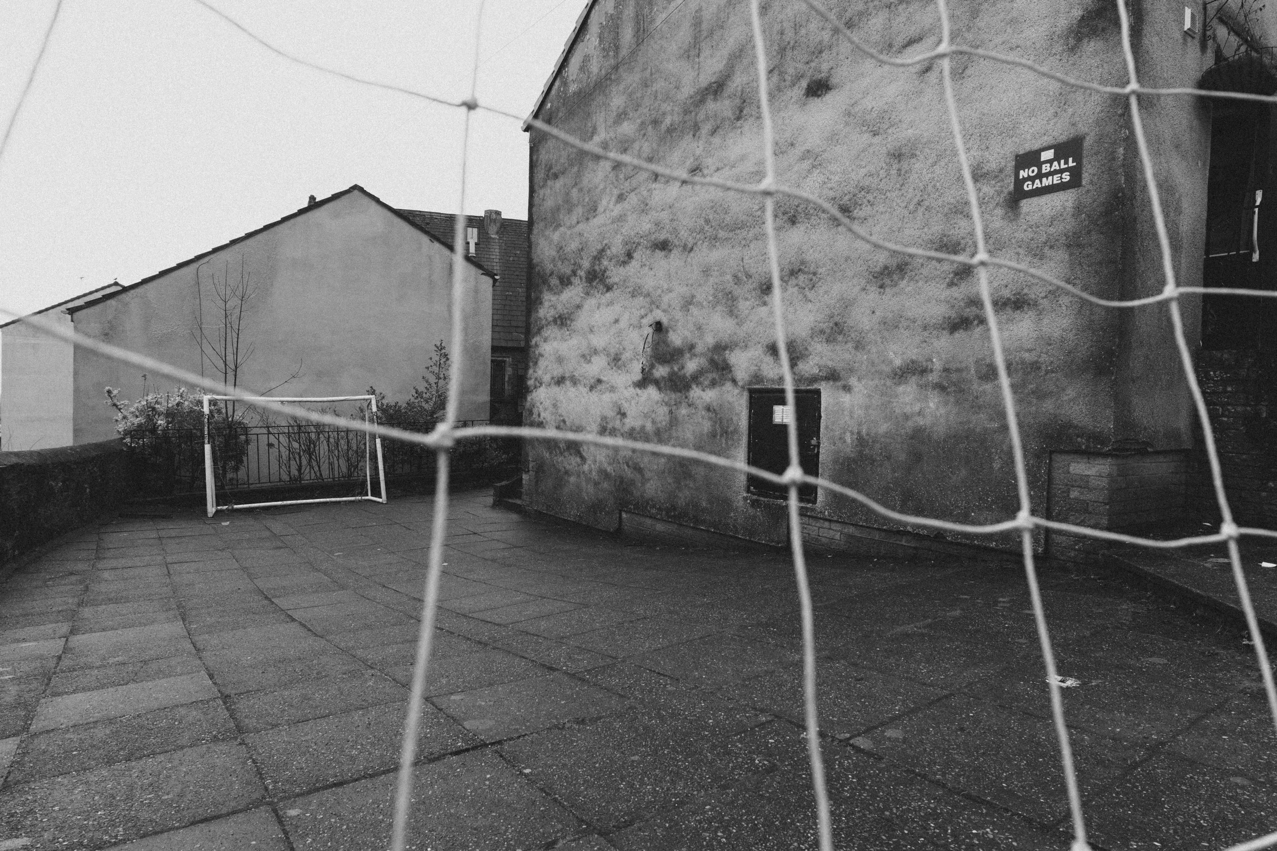 P1205041.jpg