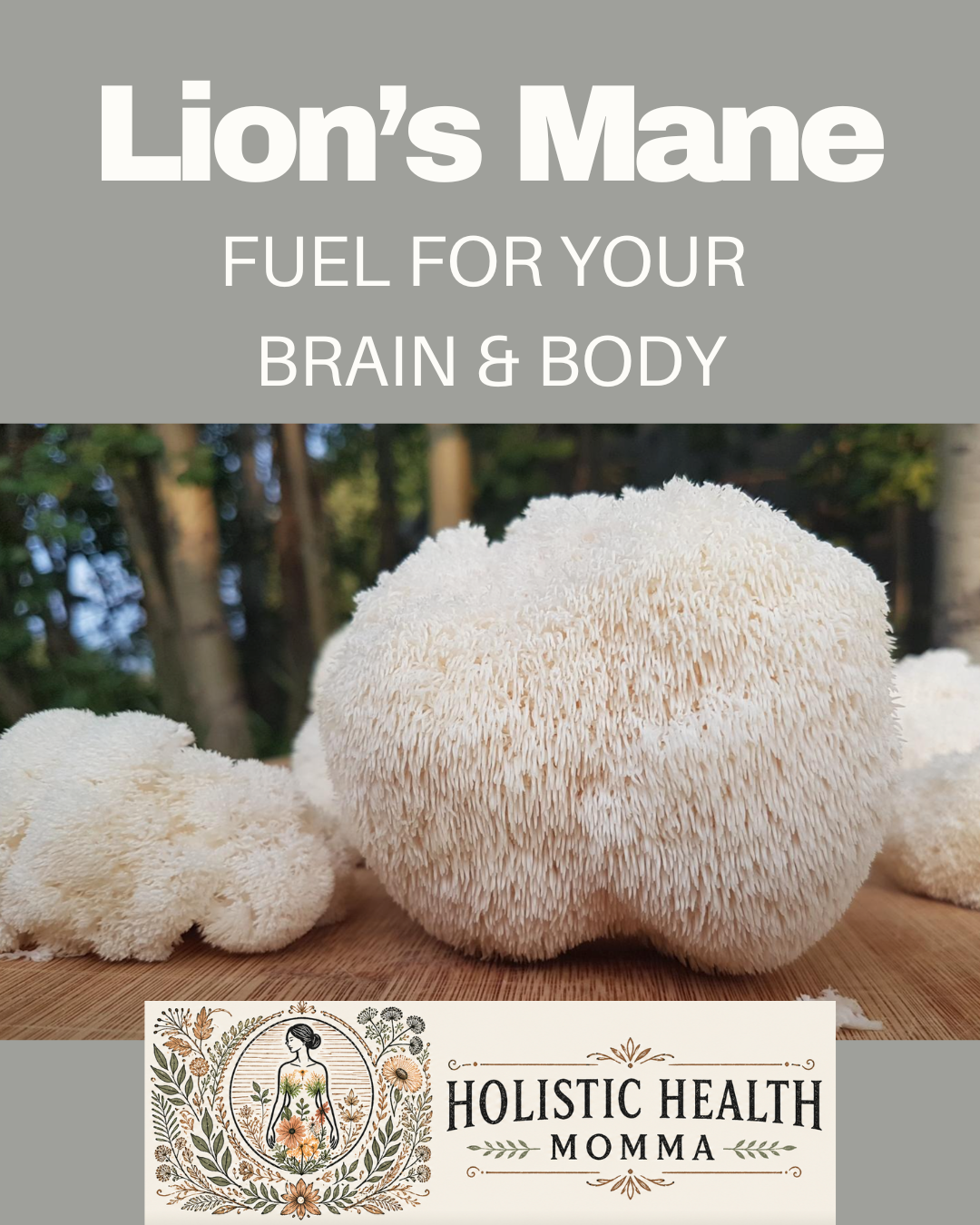 Lion’s Mane Mushroom: A Simple, Powerful Way to Support Your Mind and Body