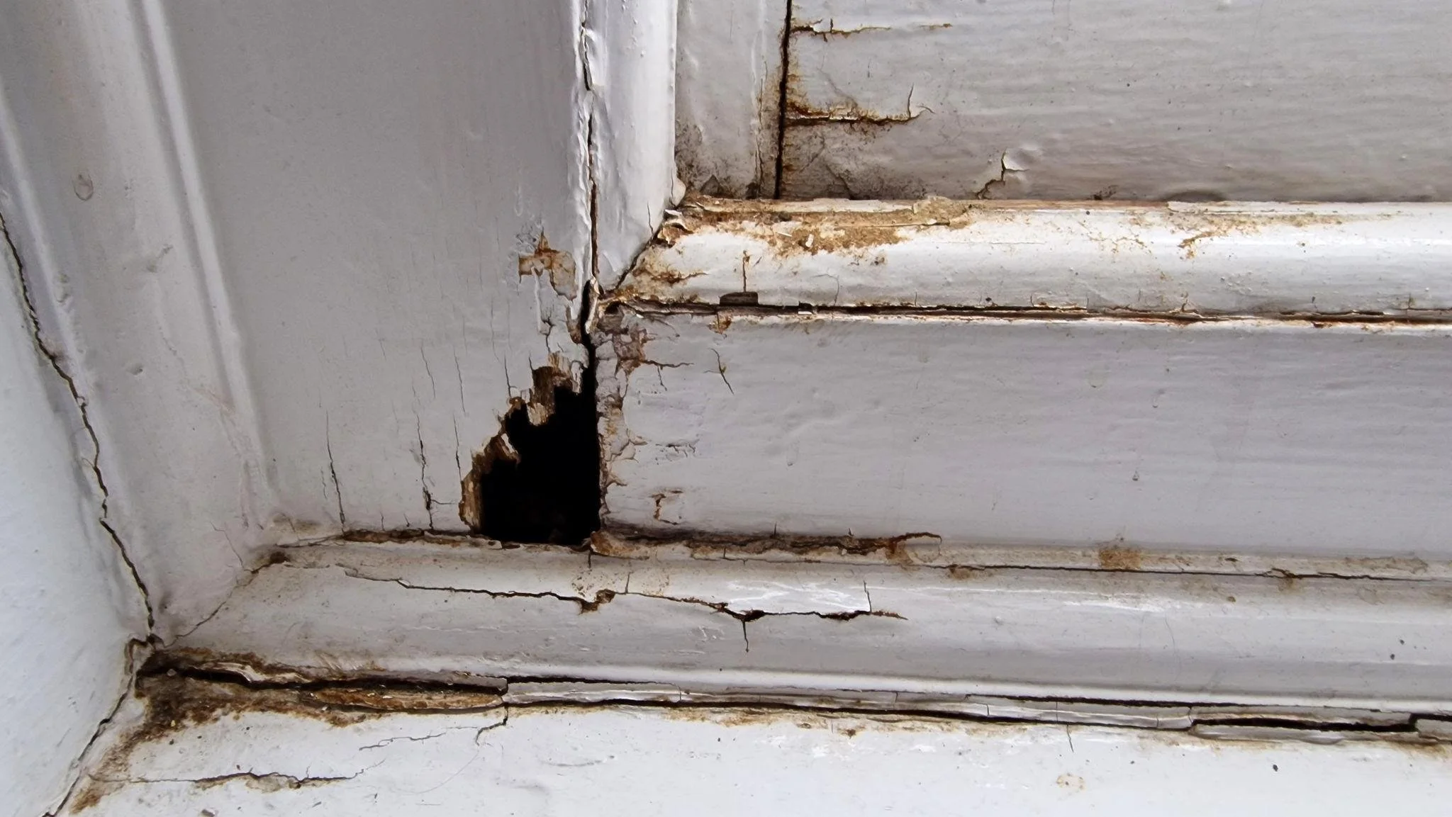 Signs Your Historic Windows Need Restoration (Before It’s Too Late)