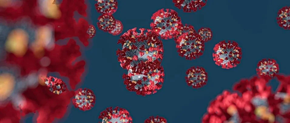 COVID-19 Information