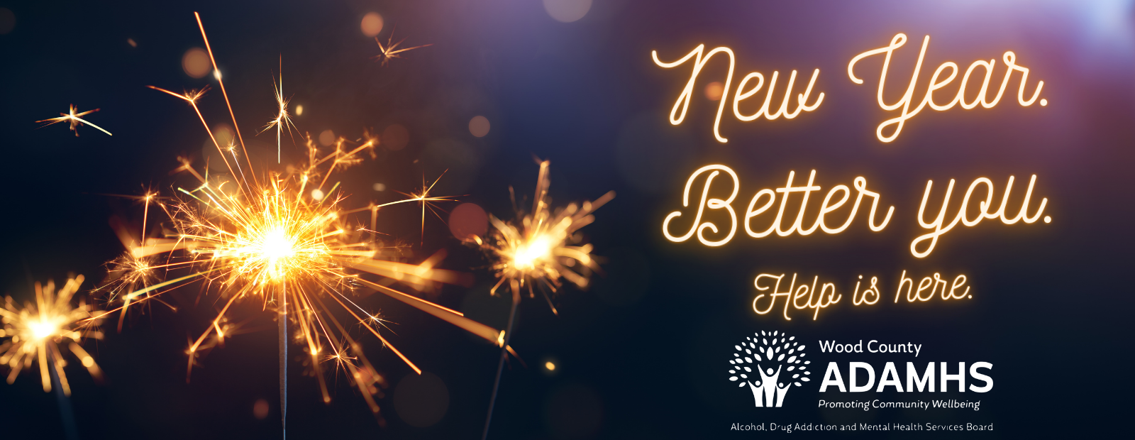 Website Sliders (12).png