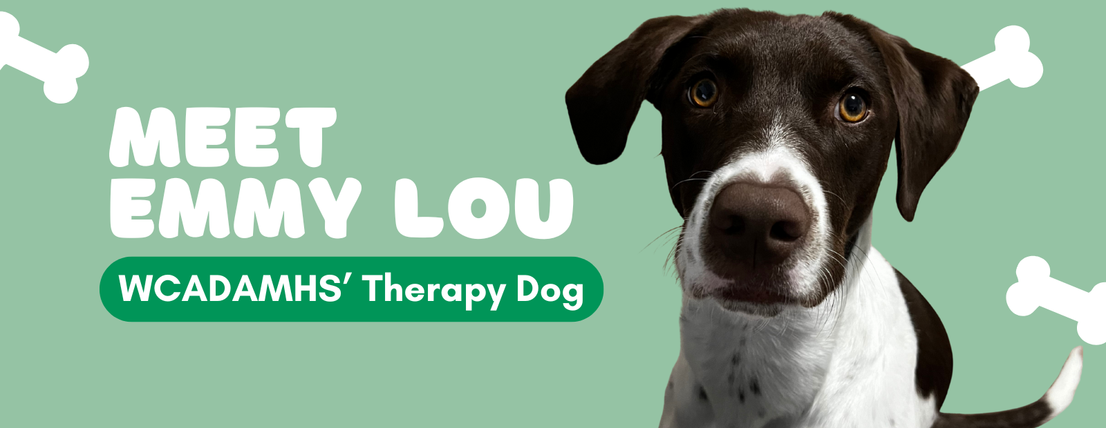 Website Sliders (13).png