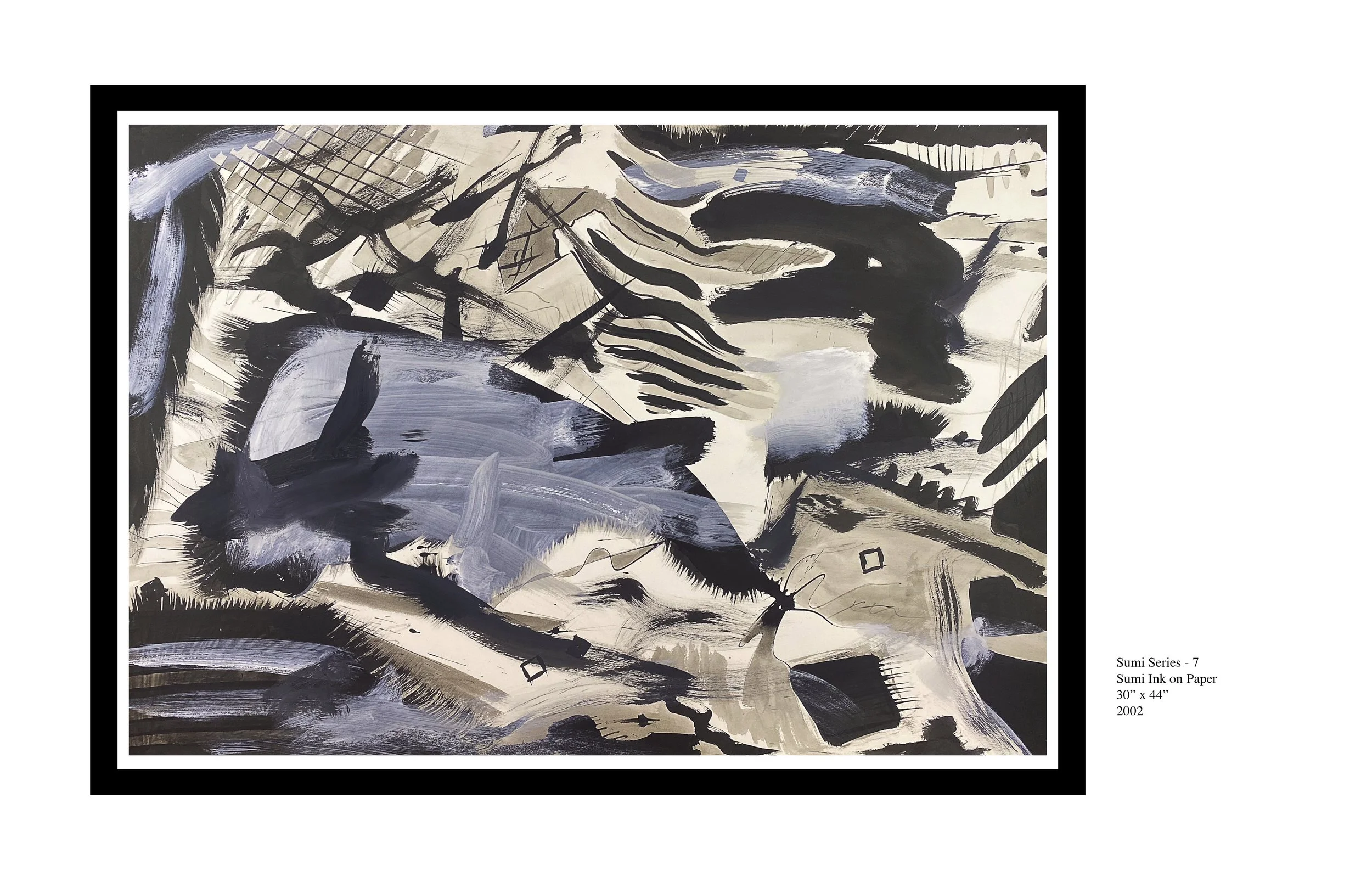 Pencil and Sumi Riffs18.jpg