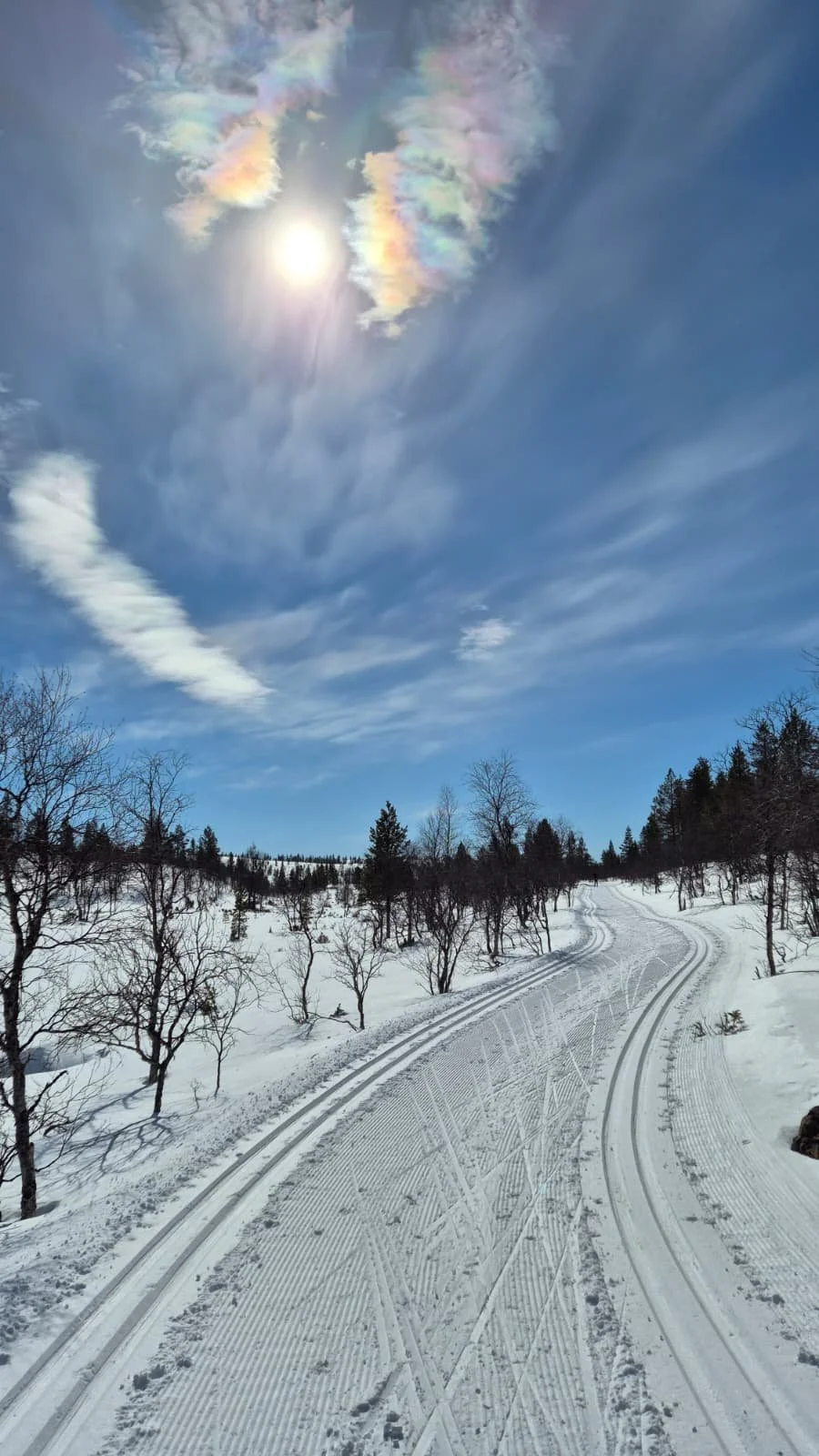 Hiihtokoulu: perinteinen hiihto osa 2