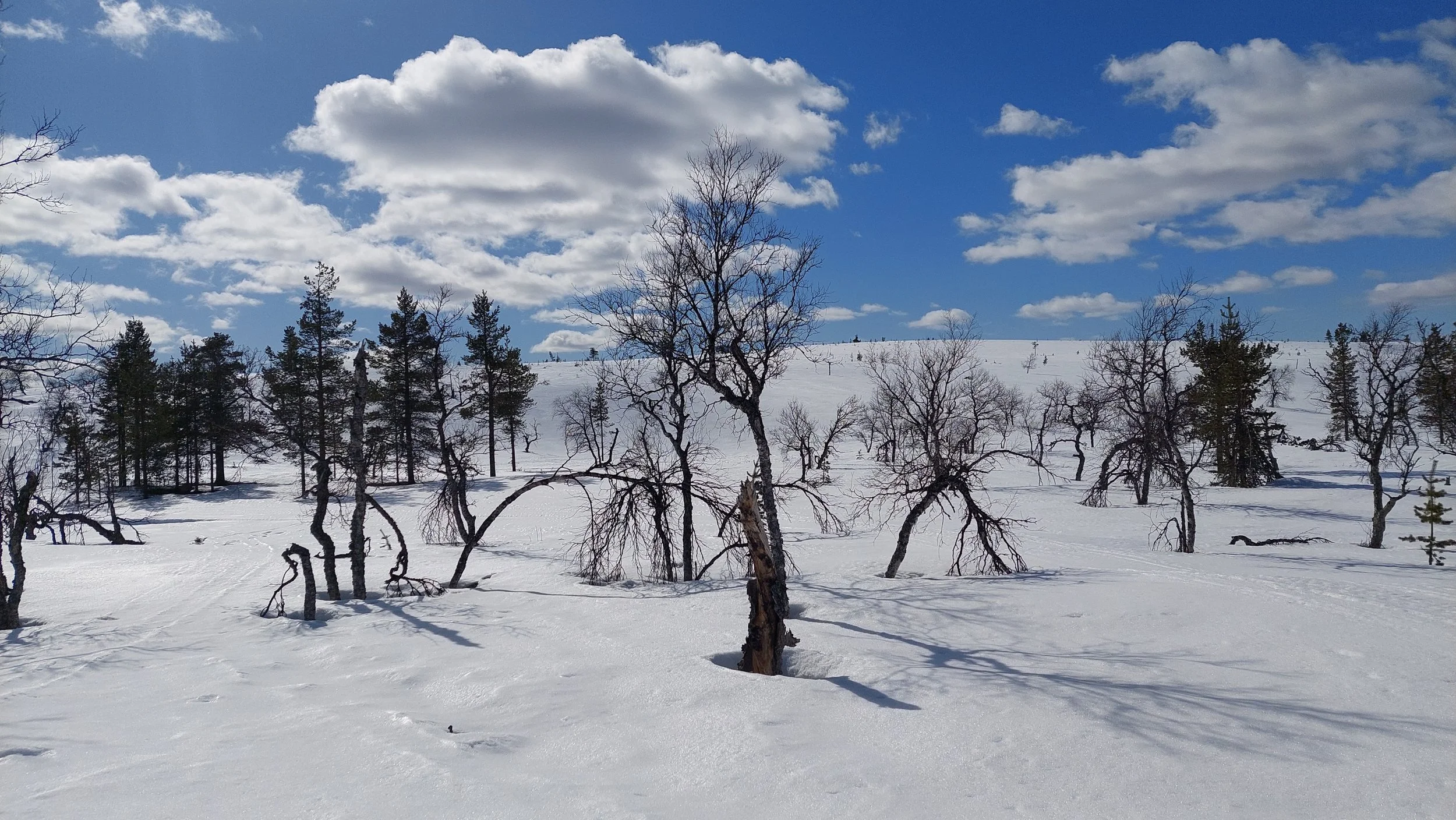 Talviuintikauden päättäjäiset
