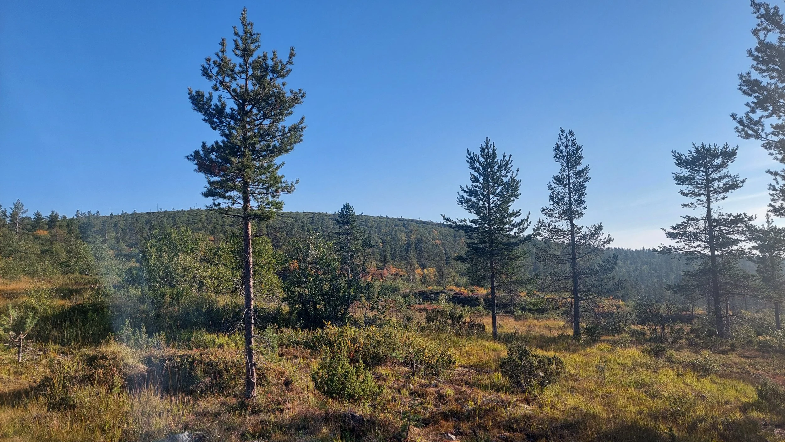 Retkeilykauden avaus: Päiväretki Joenkieliselle 