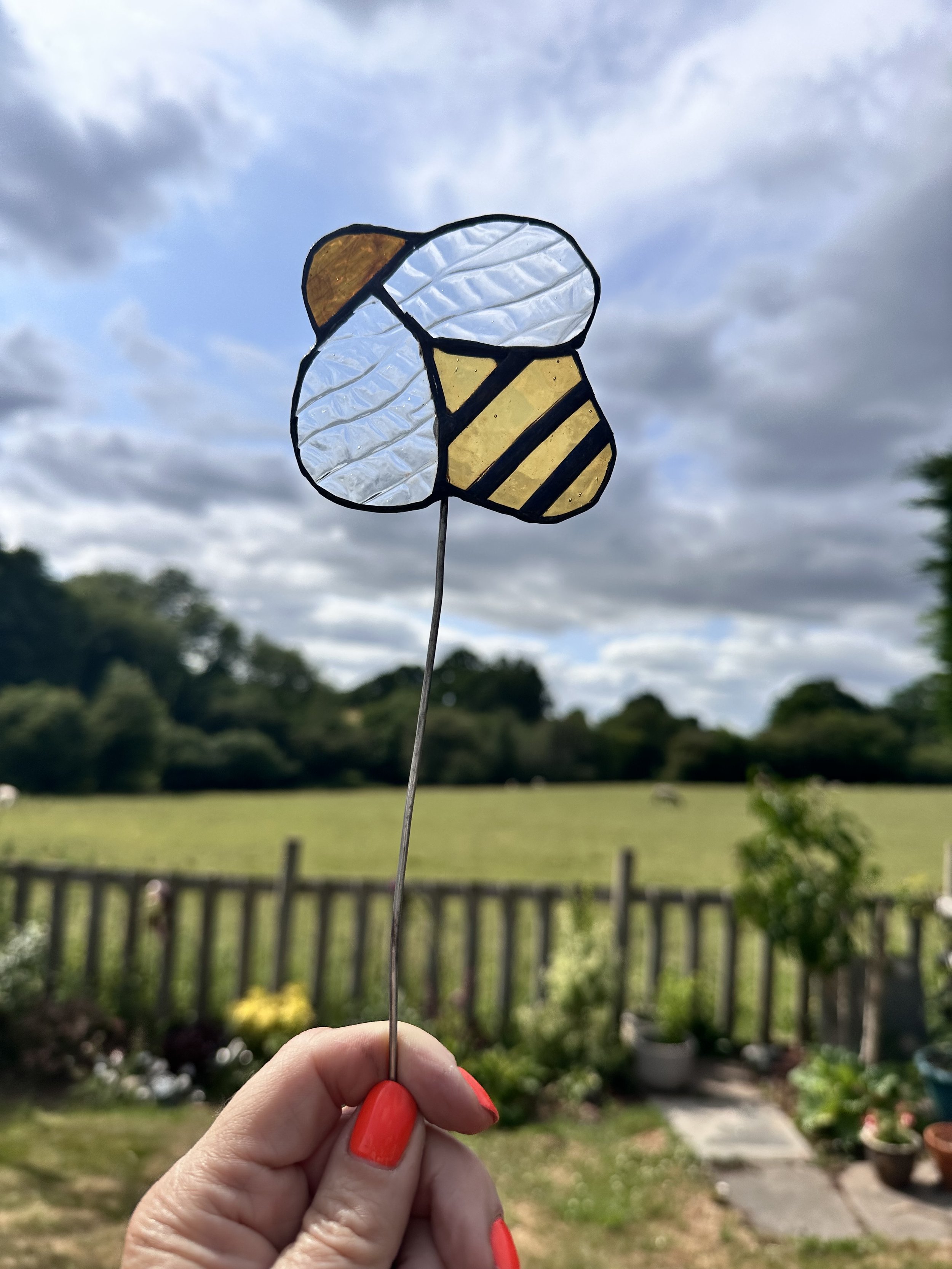 IMG_0246.jpeg