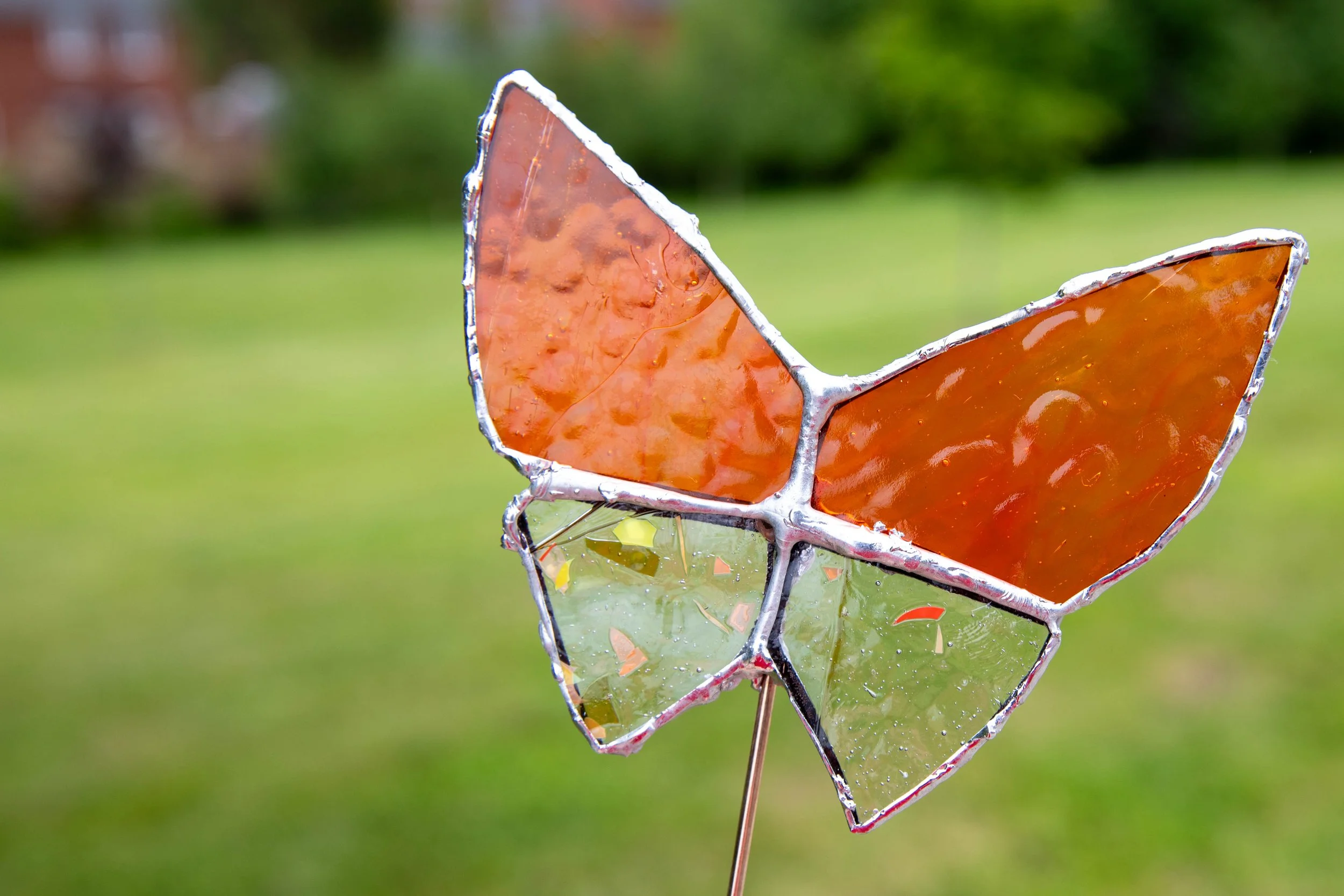 Harnce_May24 (63 of 65).jpg