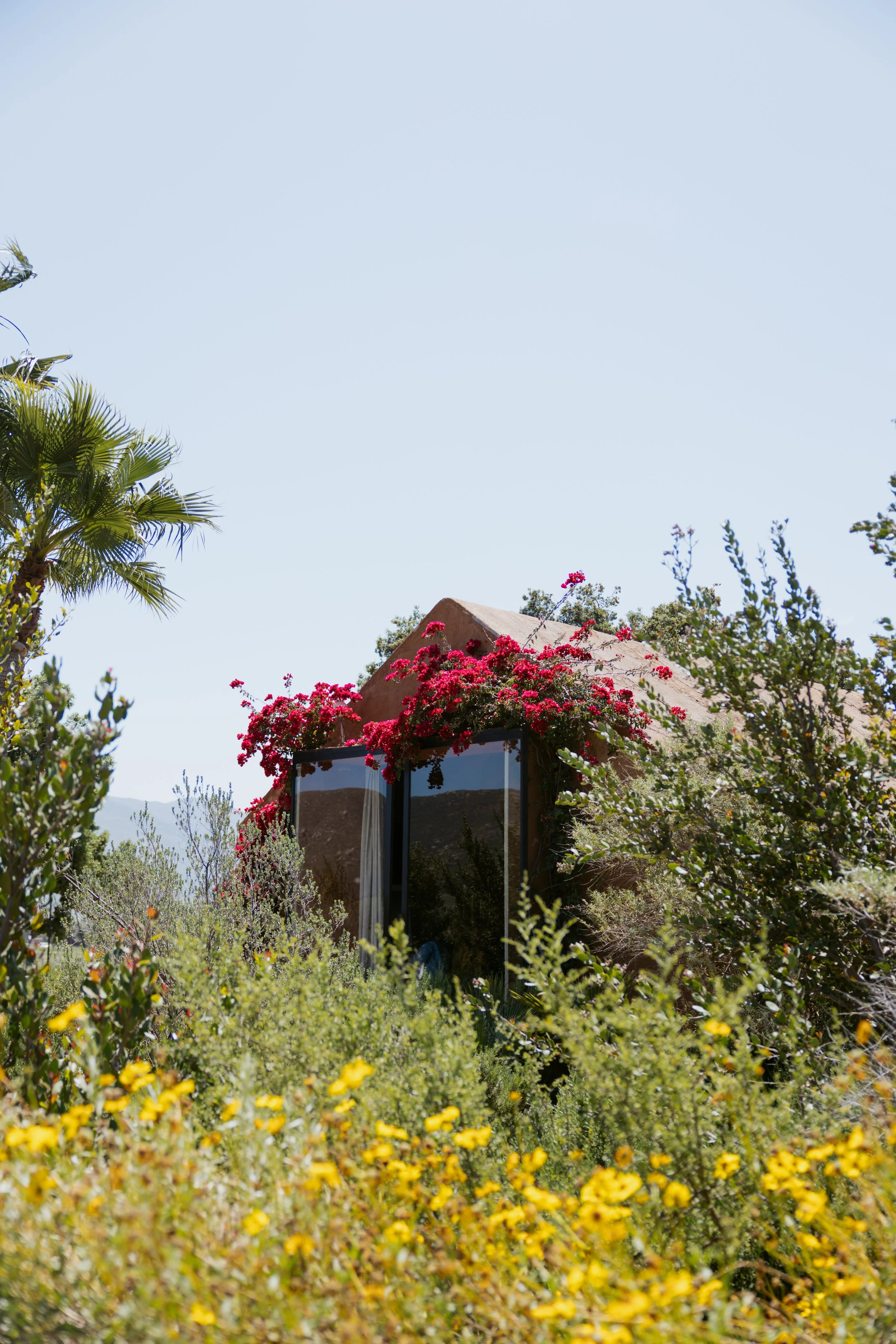 Bruma-Valle-de-Guadalupe-Mexico-Wedding-5.jpg