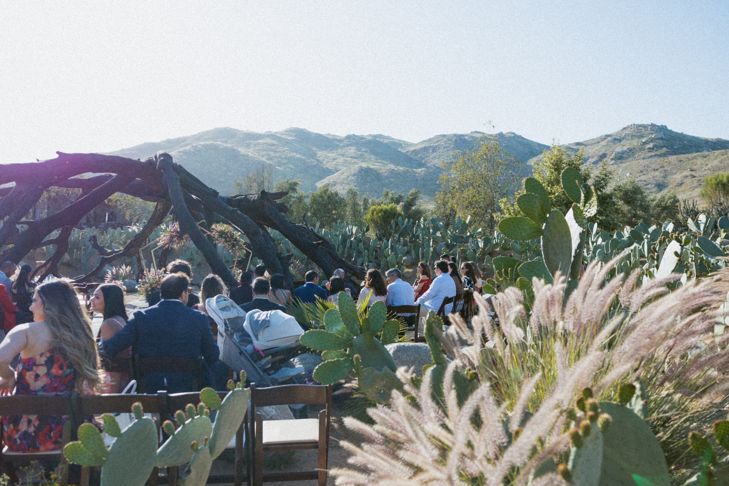 Bruma-Valle-de-Guadalupe-Mexico-Wedding-11.jpg