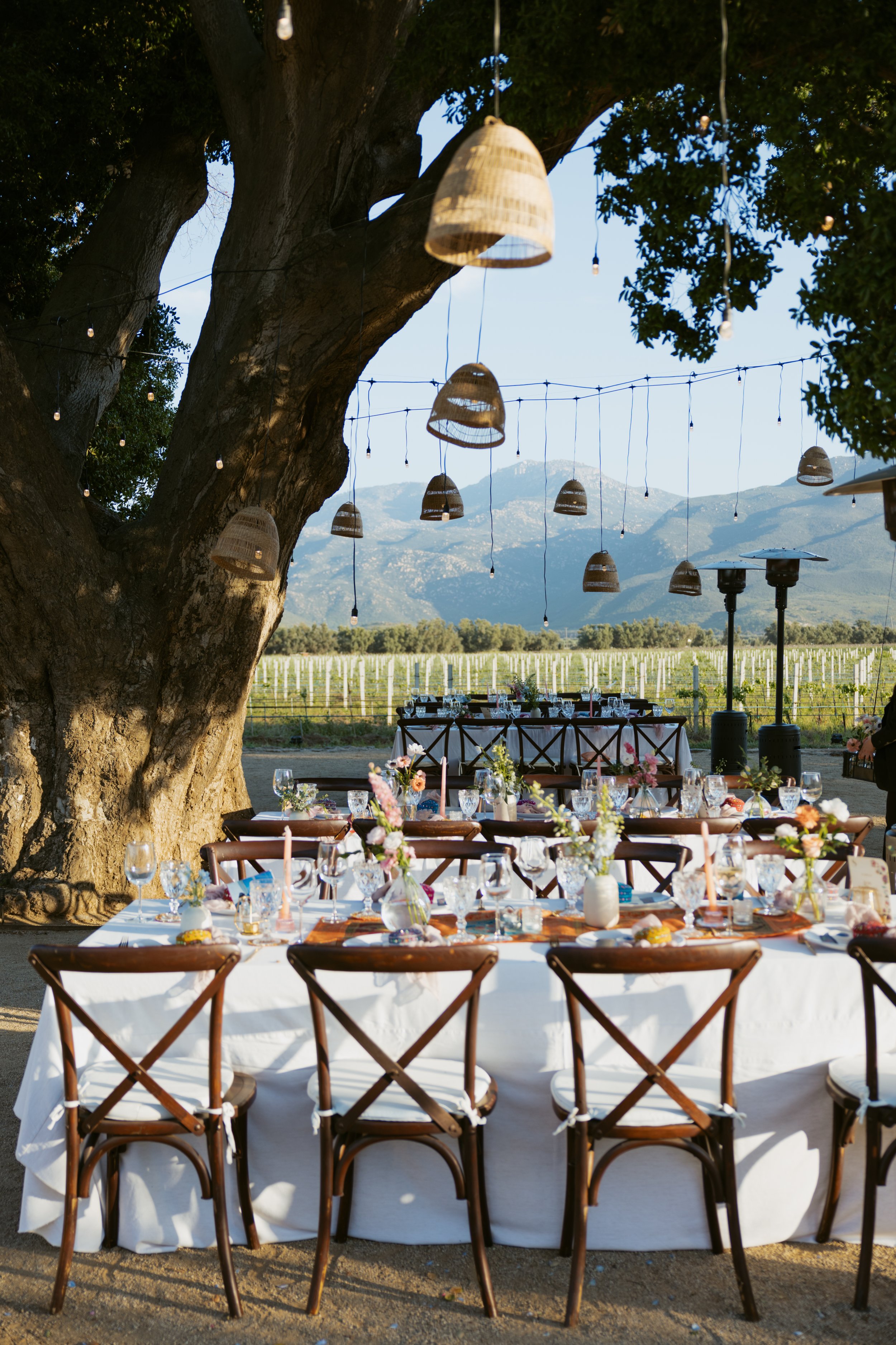 Bruma-Valle-de-Guadalupe-Mexico-Wedding-15.jpg