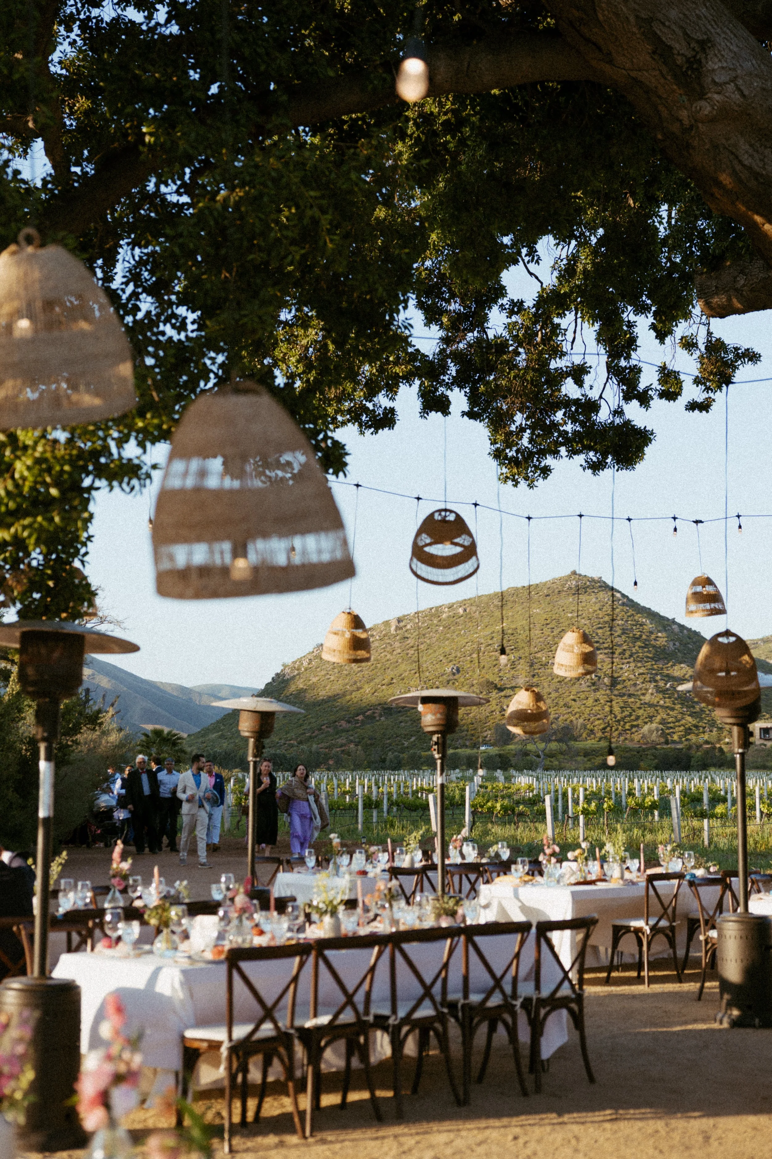 Bruma-Valle-de-Guadalupe-Mexico-Wedding-16.jpg