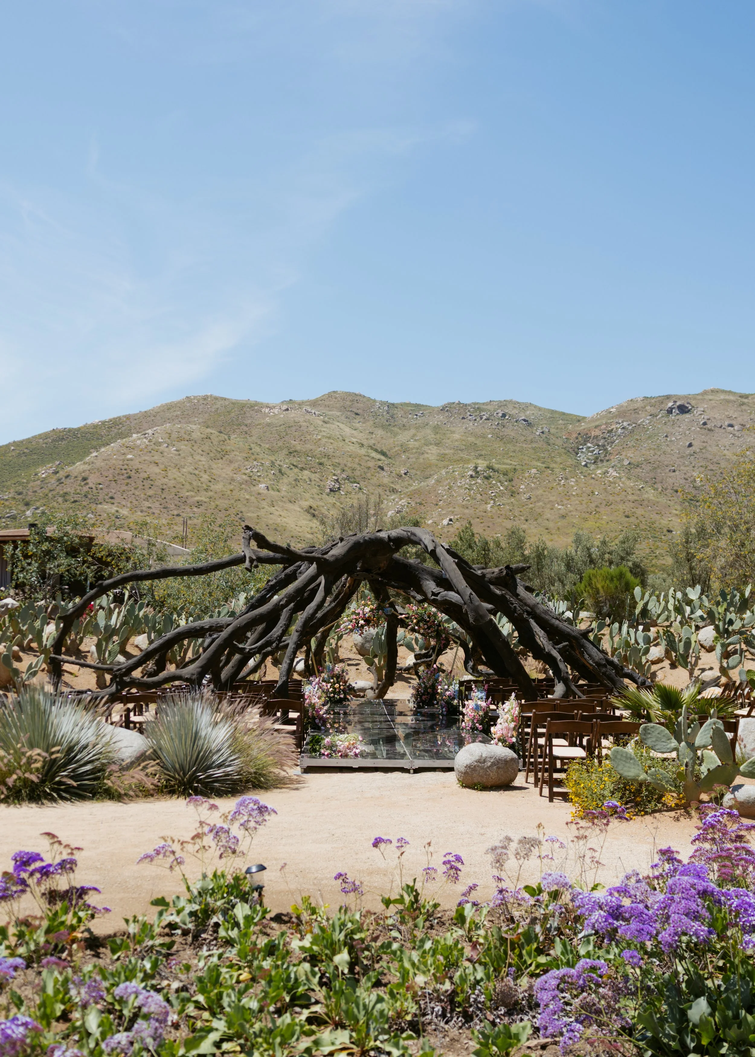 Bruma-Valle-de-Guadalupe-Mexico-Wedding-112.jpg