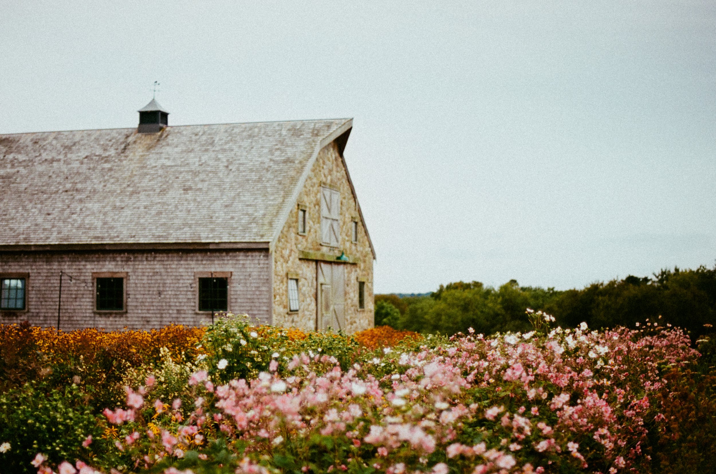 Cincinnati wedding photographer captures artistic film photos